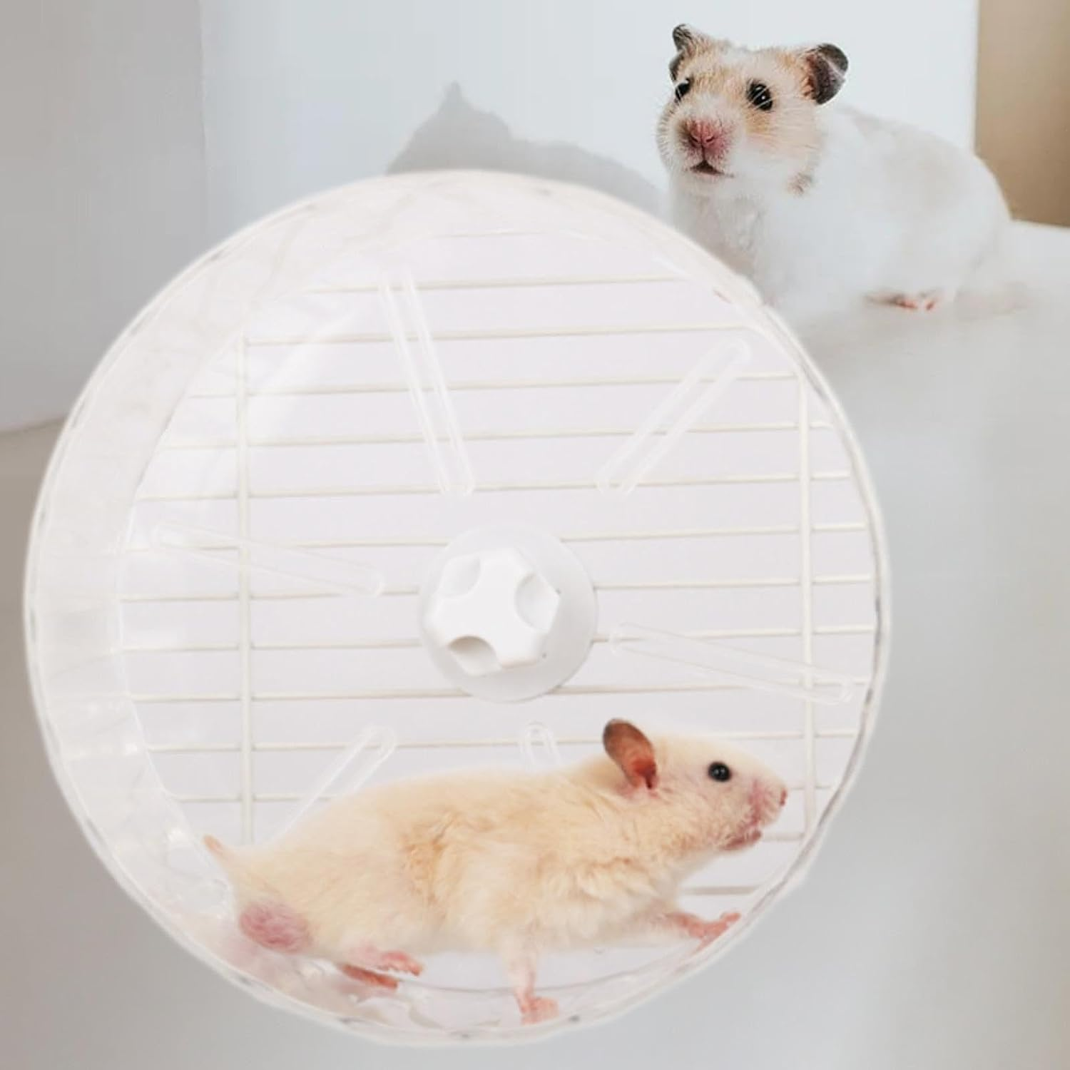 Fzaqwen Hamster Activity Wheel for Small Animals with Silent Rolling Feature, Clear image number 4