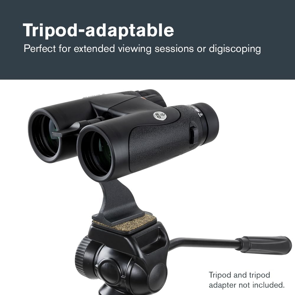 Celestron 72332 Nature DX ED 8X42 Binoculars - Premium Extra-Low Dispersion ED Glass Lenses Black image number 3