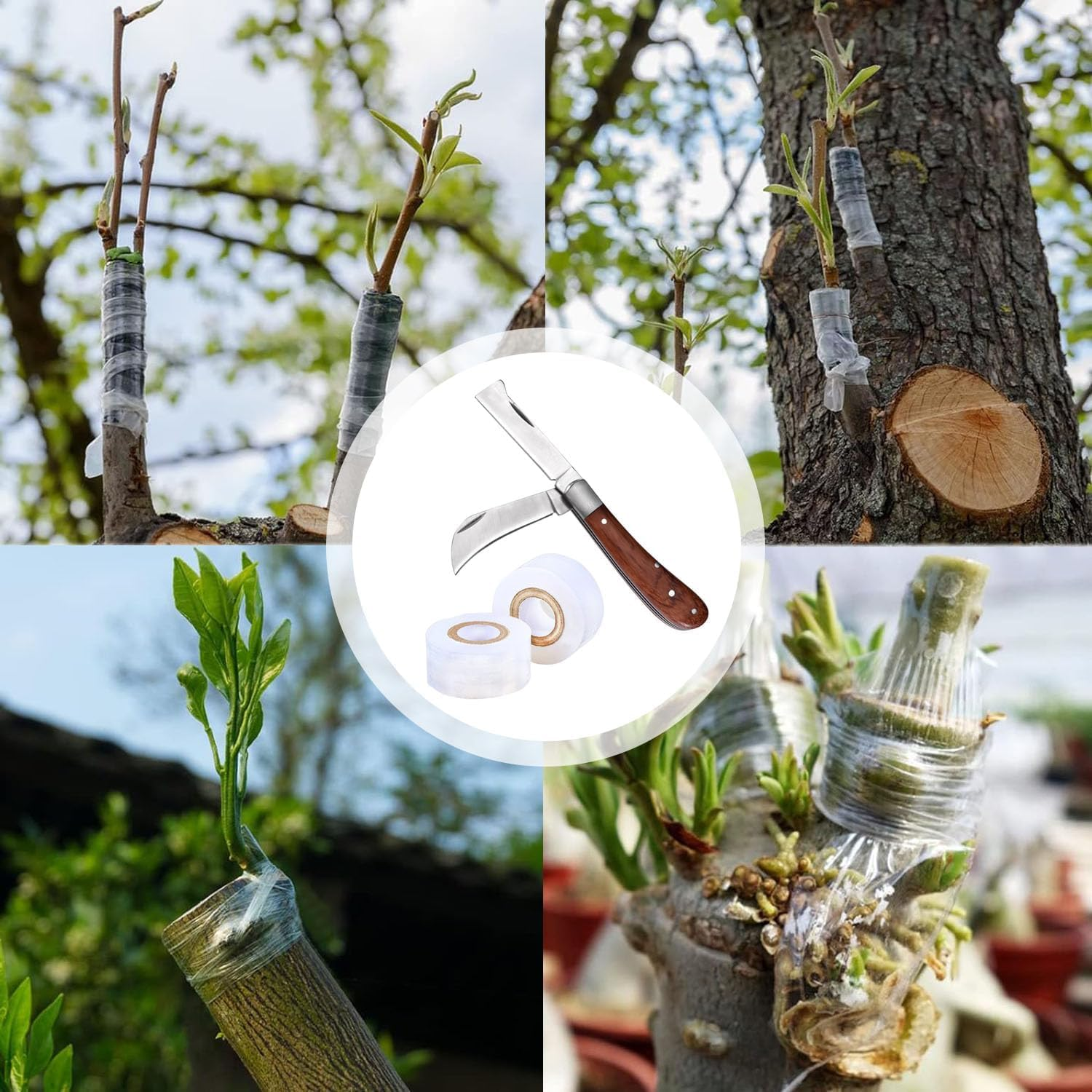 Double-Blades Grafting/Gardening Knife, with 2 Plants Repair Tapes for Floral Fruit Tree,Flexible Grafting Kit image number 5