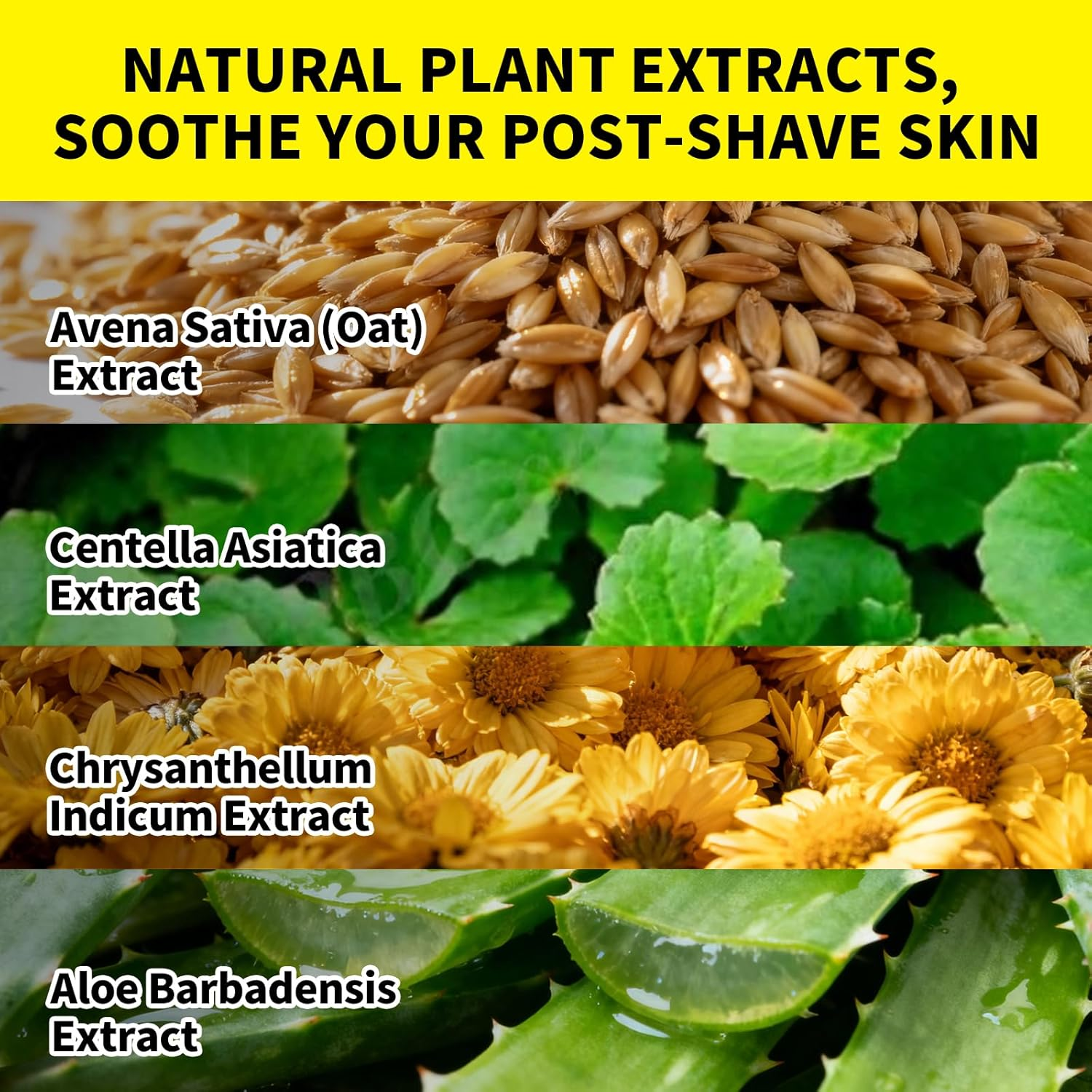 SEVICH Aftershave for Men,Soothing Spray with Aloe Vera & Oat Extract,Refreshing Scent,Relieves Razor Burn & Irritation,100Ml image number 6