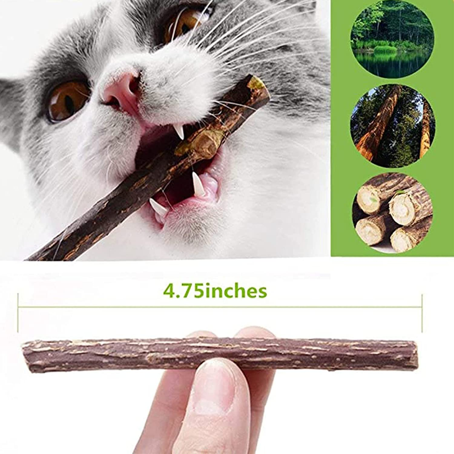Ueerdand Organic Cat Chew Toys Natural Matatabi Silvervine Cat Teeth Cleaning Chew Sticks (50 Pcs) image number 5