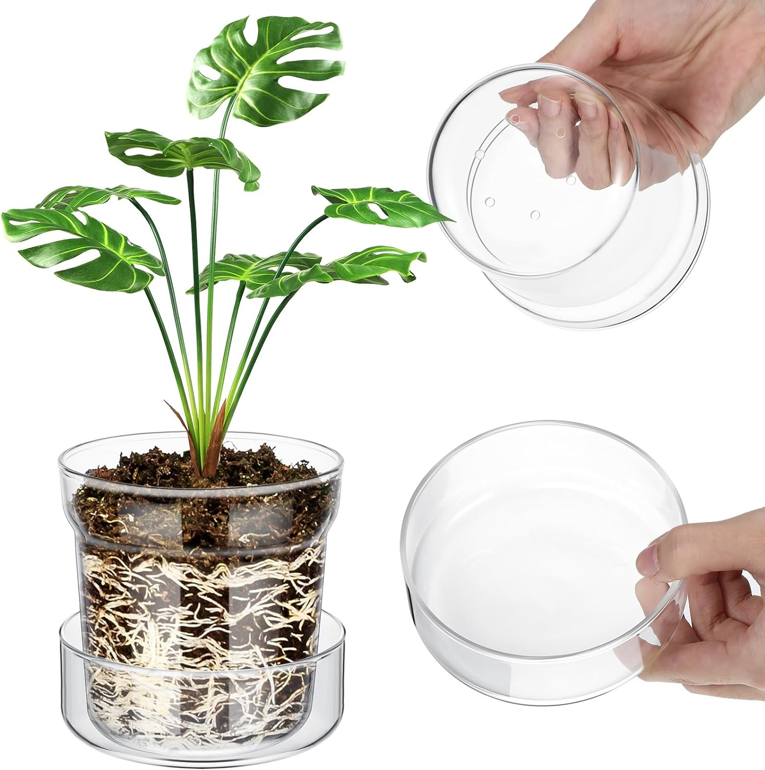 Baderke 4 Inch Glass Plant Pots with Saucer, Flower Nursery Plant Pots with Drainage for Flower Seed Starter Transparent Seedling (1 Set) image number 4