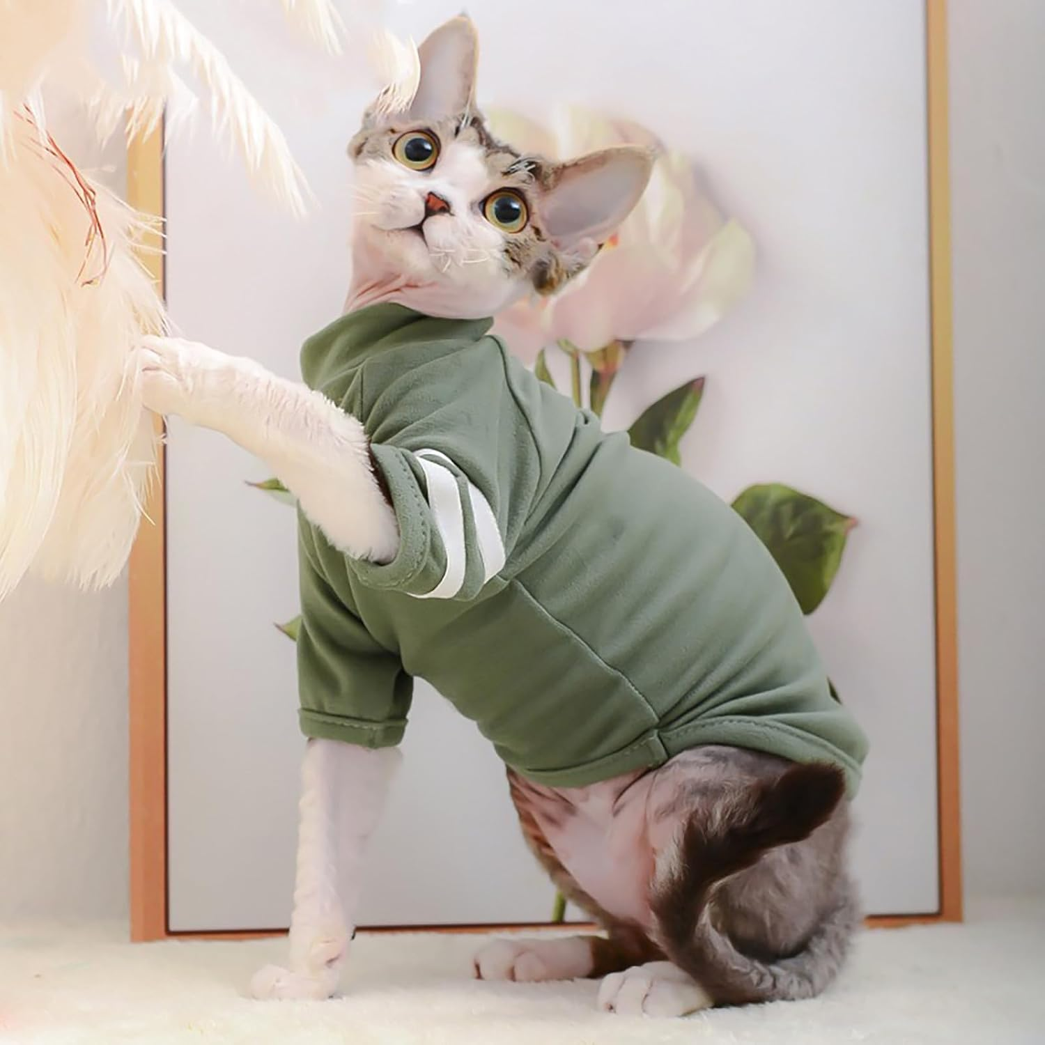 IUOUTG Hairless Cats Clothes Breathable Basic Cat T-Shirts Spring and Summer High Elasticity Kitten Shirts round Collar Cat Vest Clothes for Cats Small Dogs image number 3