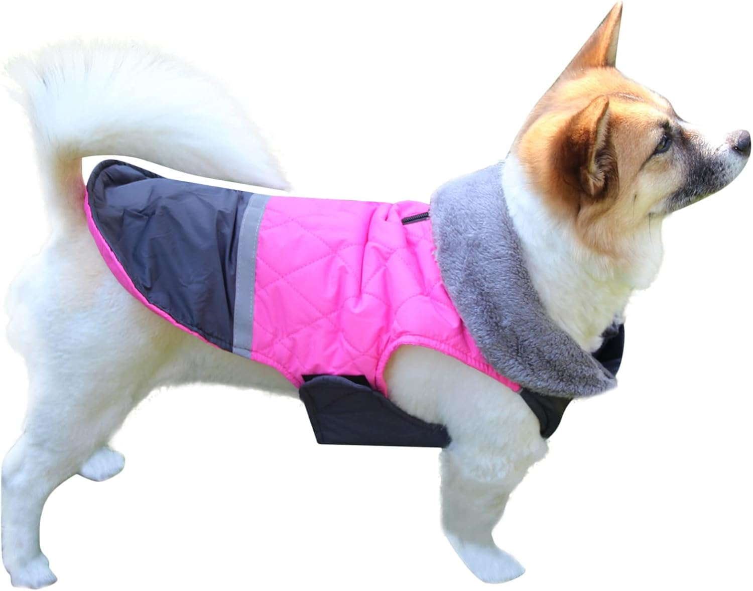 Joydaog Fleece Collar Reversible Dog Coats for Small Dogs Waterproof Warm Puppy Jacket for Cold Winter,Red XS