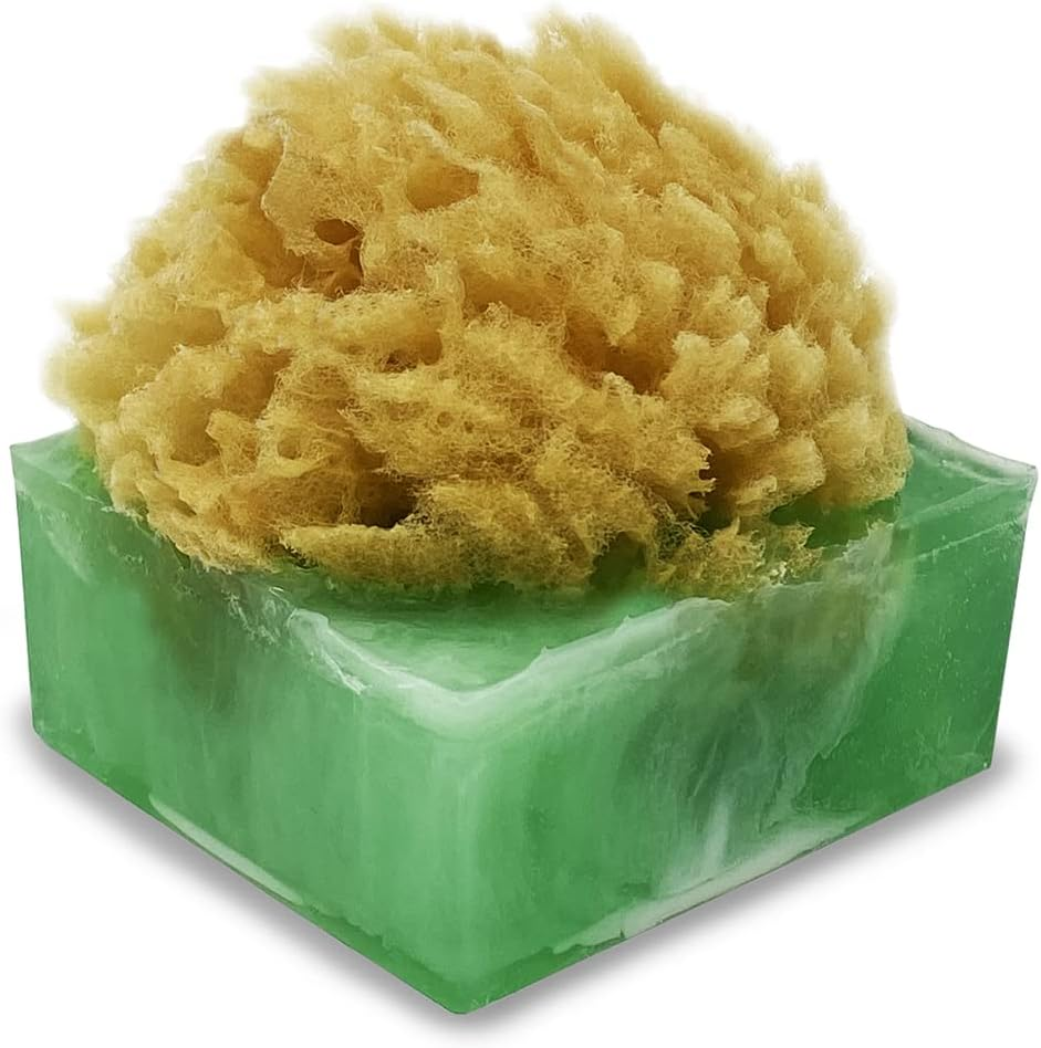 Primal Elements Honeycrisp Apple Spongebar Soap (Pack of 2)