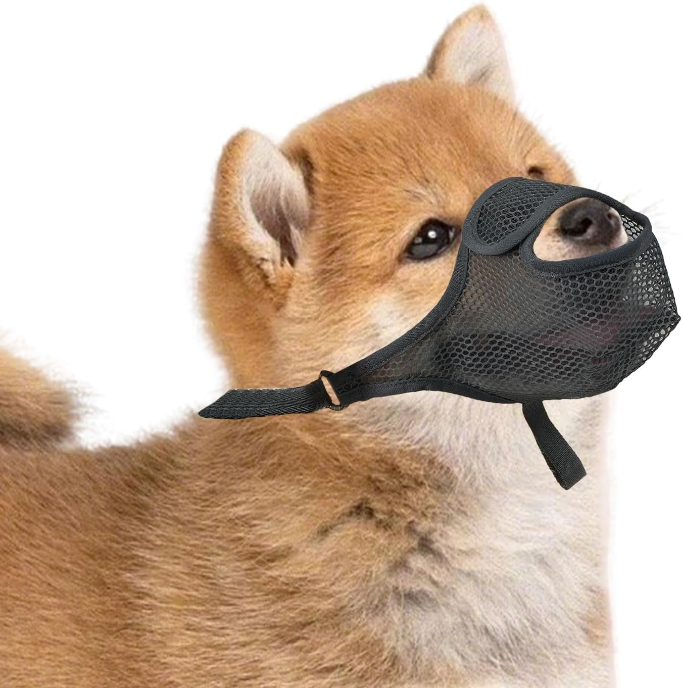 High-Quality, Breathable Dog Muzzle to Prevent Biting and Eating, Anti-Barking Mouth Guard for Small and Medium Dogs, Adjustable and Comfortable image number 1