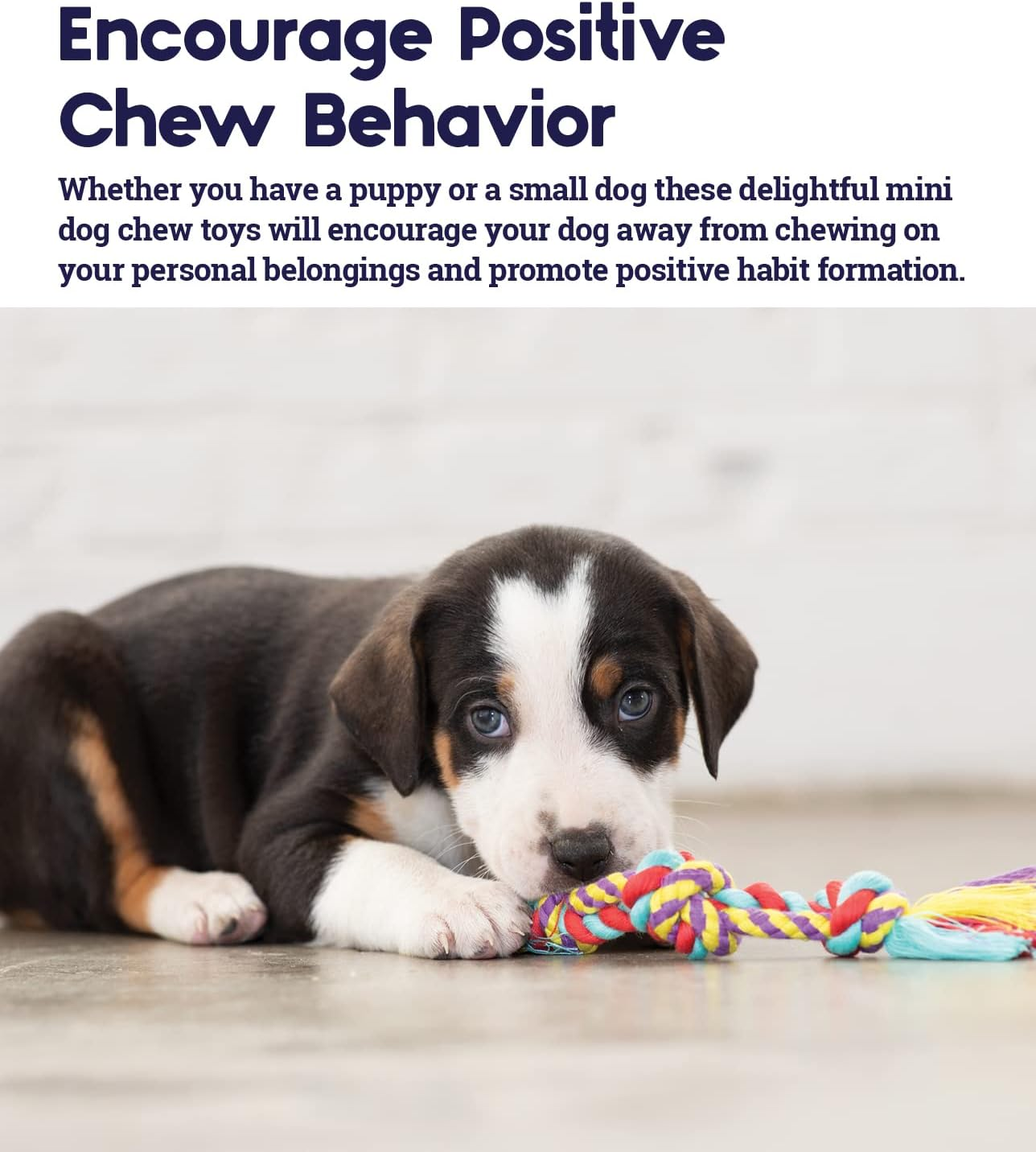 Petstages Dental Teeth Cleaning Small Chew Dog Toy Chew Toys image number 4