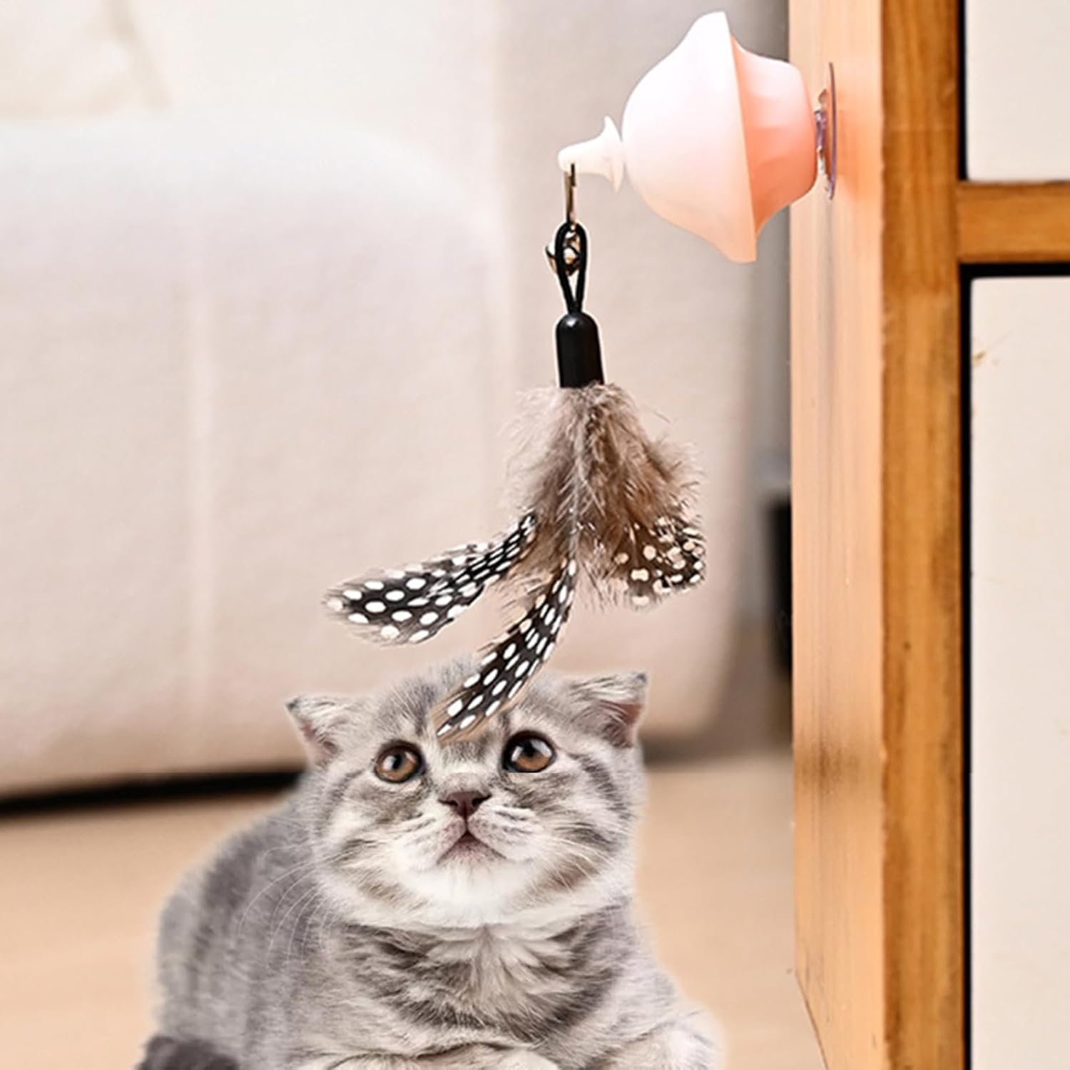 Cat Retracting Toy,Chew-Resistant Companion | Retractable Bored Cat Toy | for Small Medium Large Breeds Living Room Bedroom Study Room Balcony image number 1