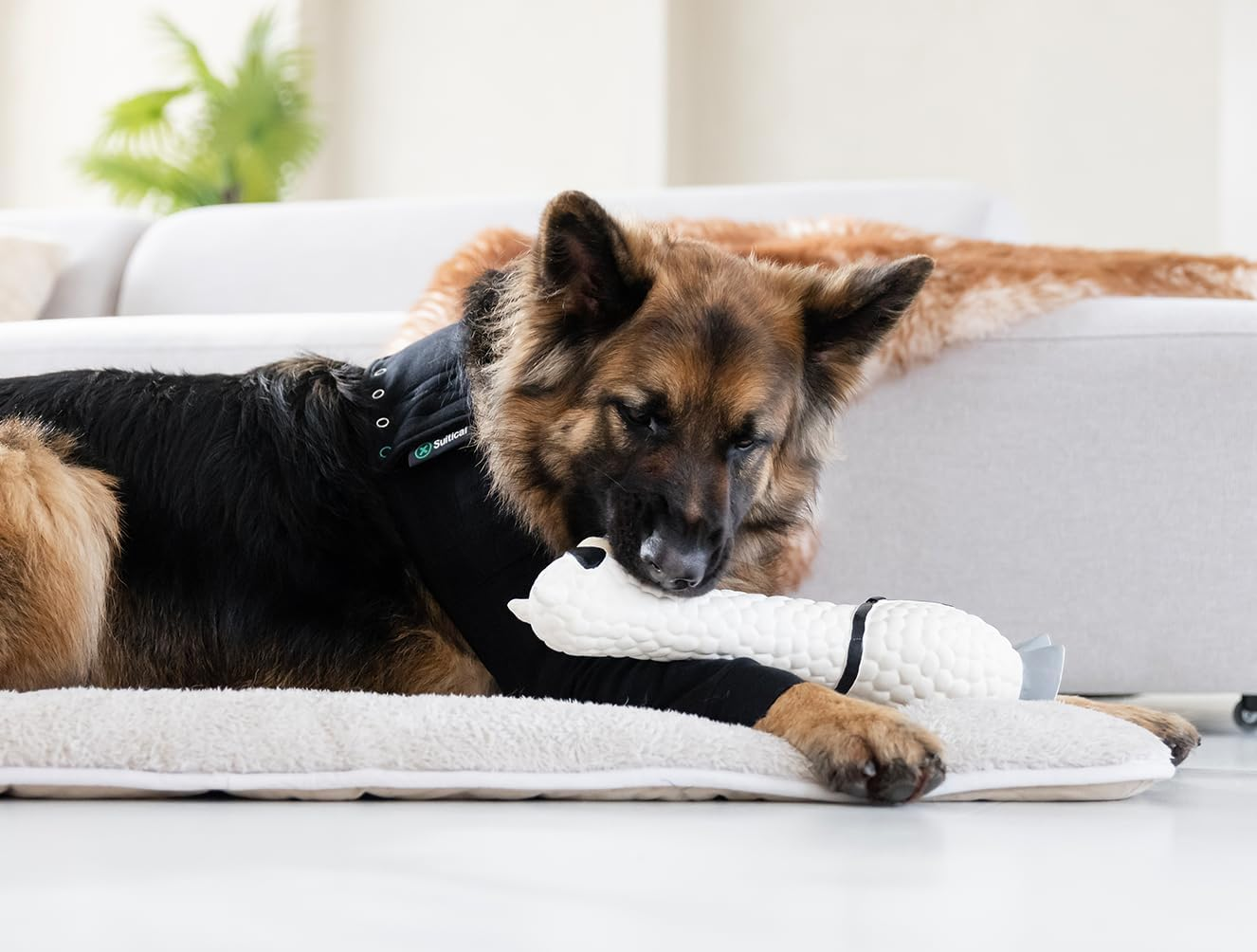 Suitical Dog Recovery Sleeve Large Black image number 2