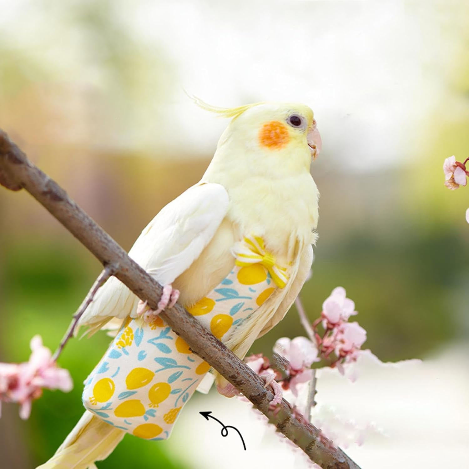 Bird Clothes - Cute Parrot Nappy Soft Diapers | Flying Costume, Outdoor Pigeon Pants, Indoor Bird Diaper, Pet Supplies, Waterproof Inner for Budgie Parakeet image number 4