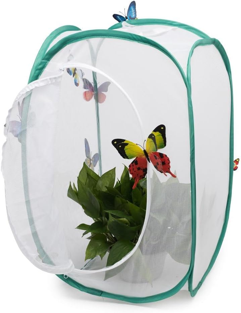 Insect and Butterfly Habitat Cage Terrarium - Pop-Up 60Cm Tall (White) image number 1