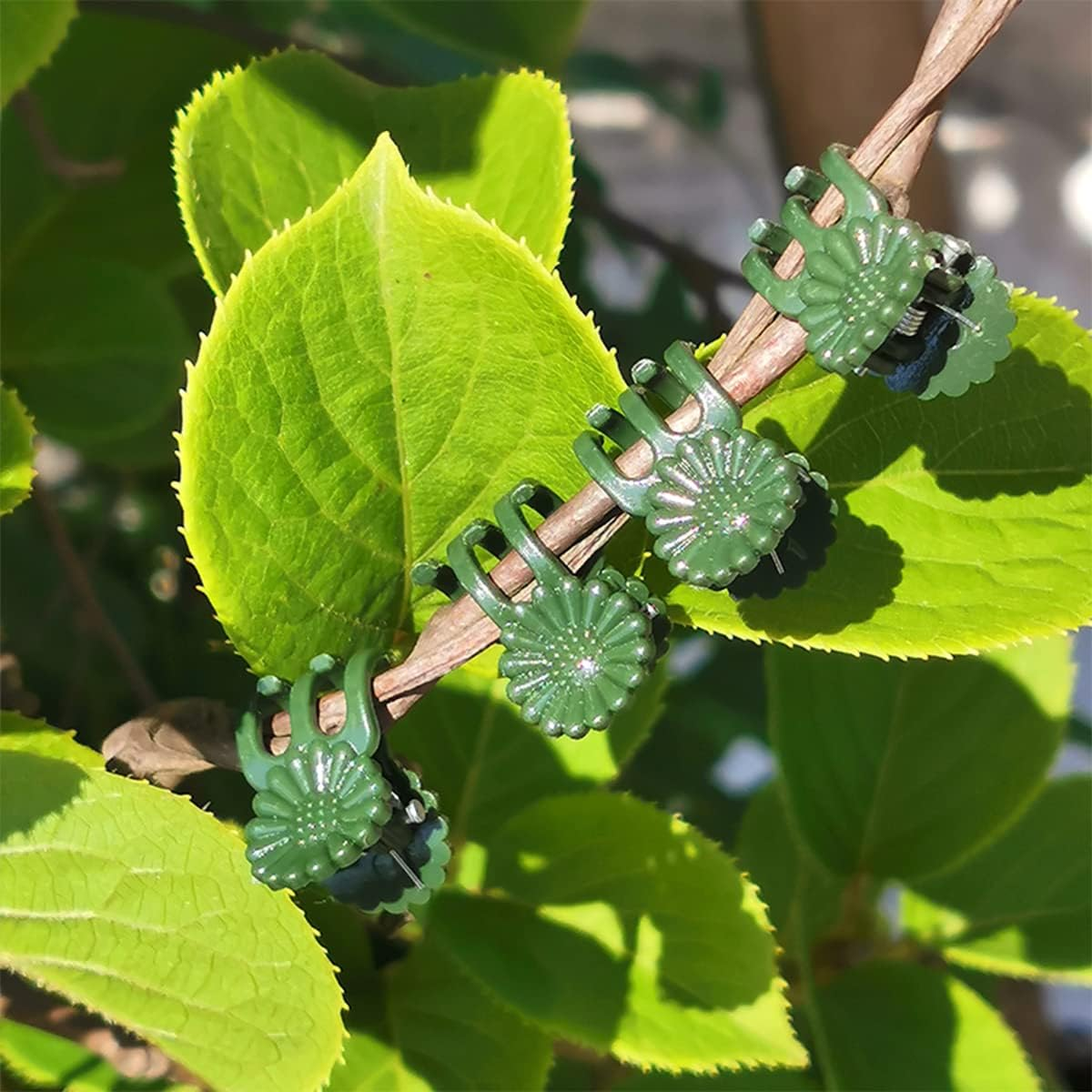 LUCKJUJU 30 Pcs Plant Support Stakes with 30 Pcs Plant Clips Garden Floral Flower Support Single Stem Support Stake for Phalaenopsis Orchid Flower Roses Amaryllis image number 2