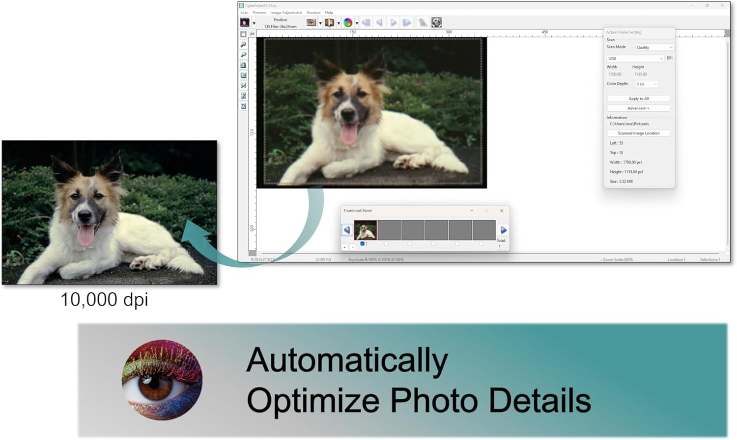 Pacific Image Primefilm XE plus Manual Film Scanner.35Mm Film and Negative Scanners. 10000 Dpi/48-Bit Output. 3.9 Dynamic Range. Support Mac and Windows image number 2
