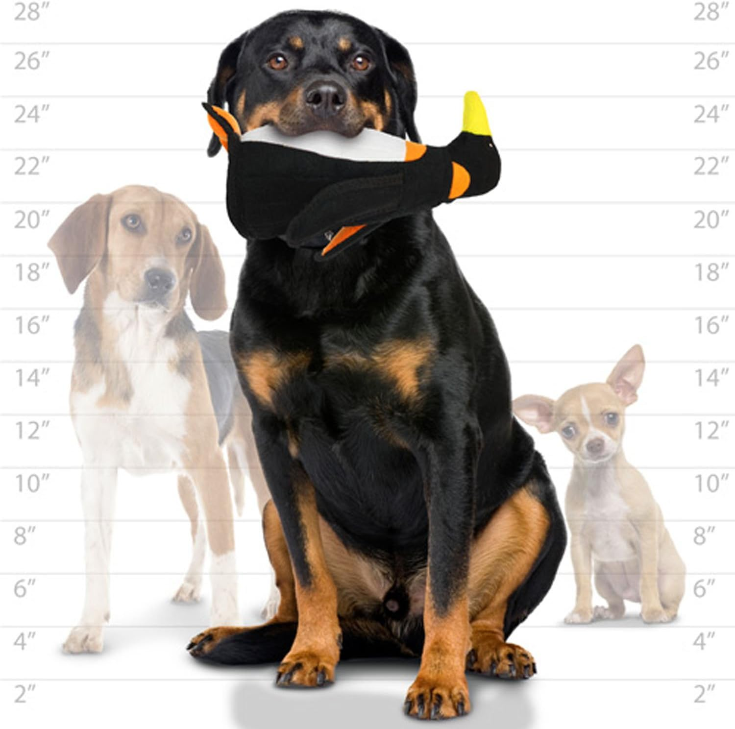 Tuffy Peguin Zoo Dog & Puppy Soft Strong Toy image number 2