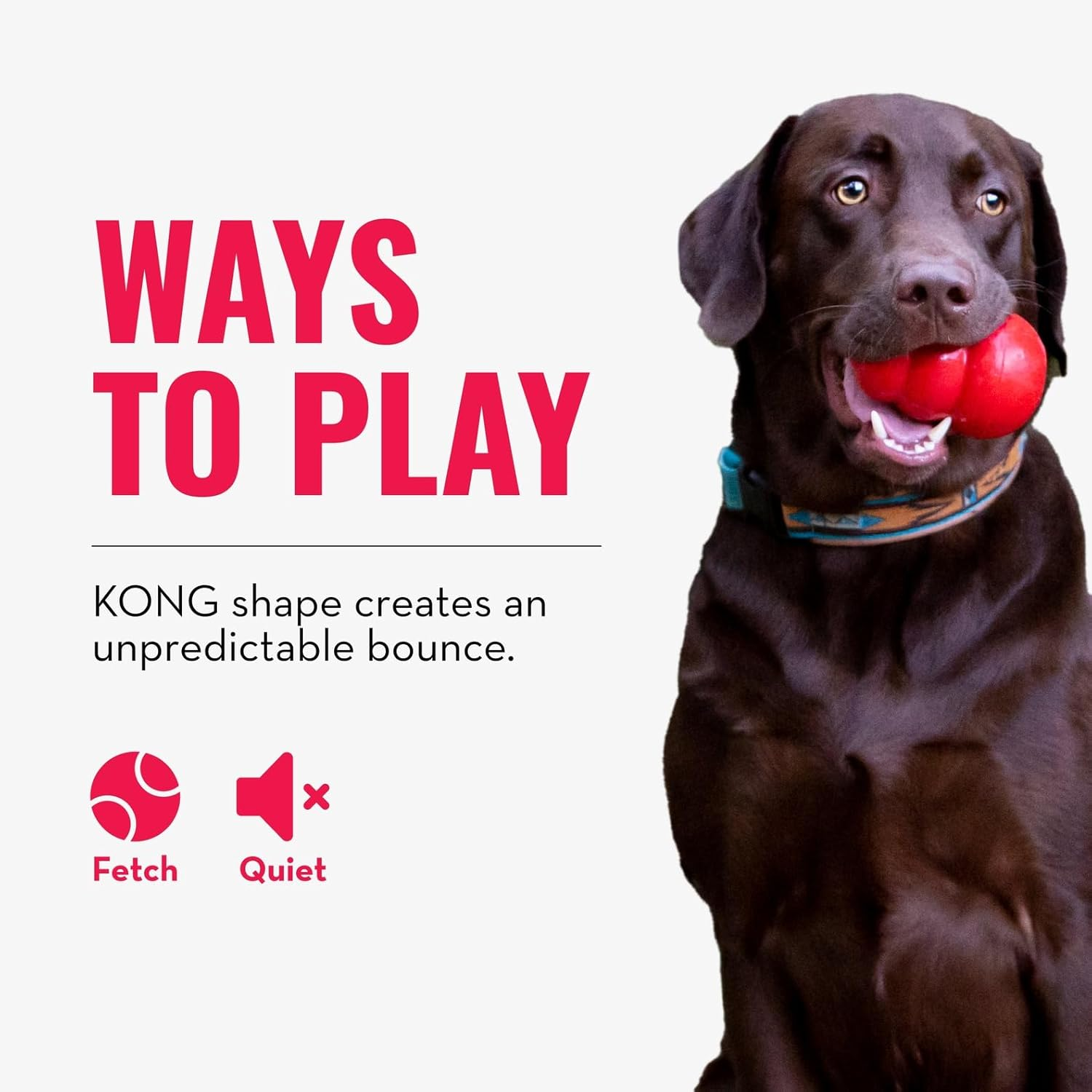 Kong Bounzer Medium Dog Toy image number 3