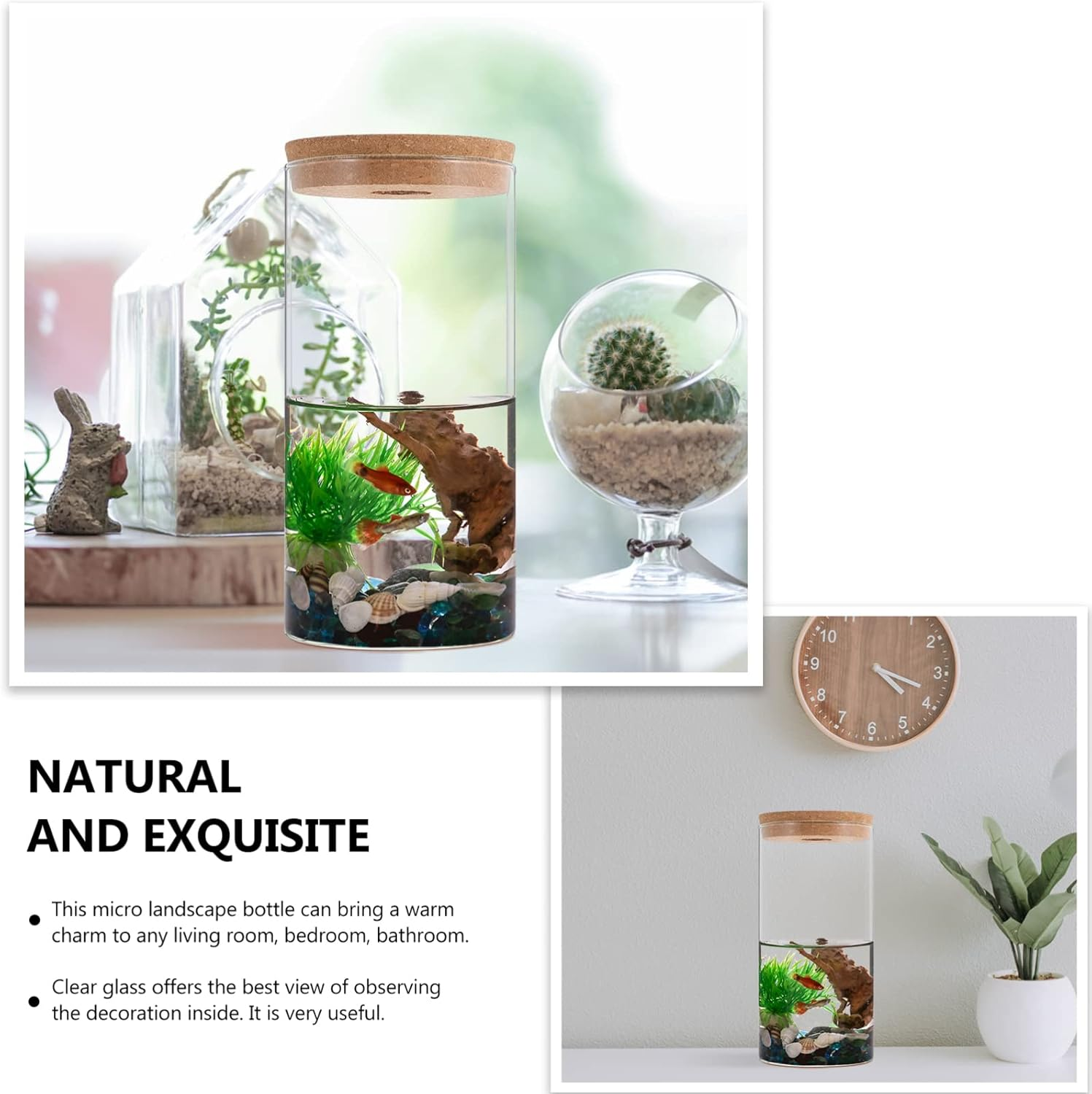 Mipcase Glass Moss Plant Bottle Decorative Micro Landscaping Container for Home Elegant Plant Pot
