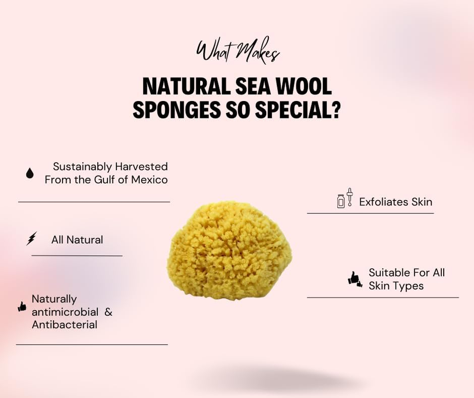 Sea Wool Sponge 13Cm - 15Cm (Large) by Bath & Shower Express a a Natural Renewable Resource