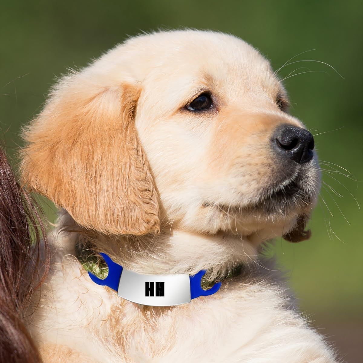 Pet ID Tags, 4 PCS Slide-On Pet Tags for Dogs, Cats (1.5 X 6.5Cm/0.59 X 2.55In) image number 4