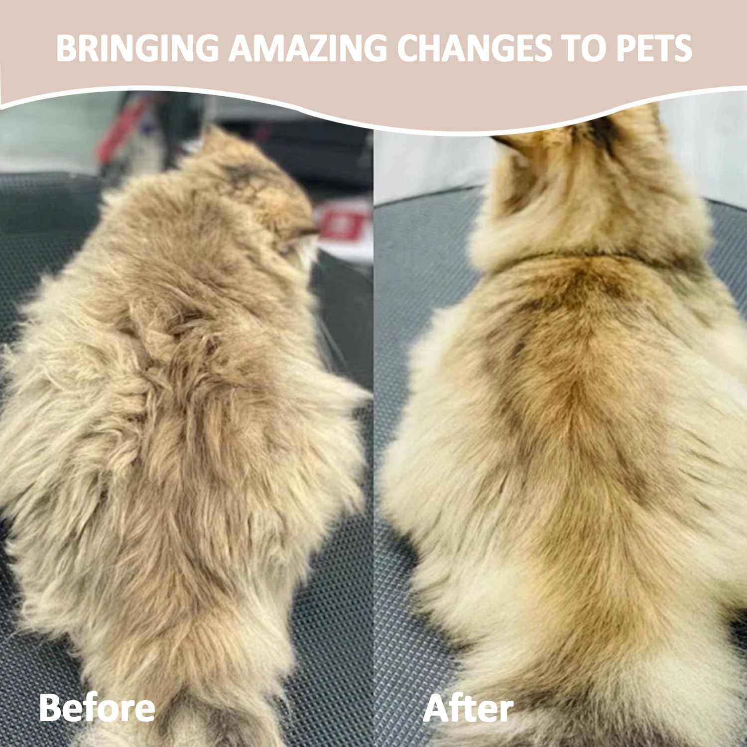 3-In-1 Pet Spray Brush for Dogs & Cats, Pet Grooming Cleaning Brush, Rechargeable Steam Brush, Pet Hair, Massage, Bathing and Combing All in One, Suitable for Long and Short Hair(Green) image number 4