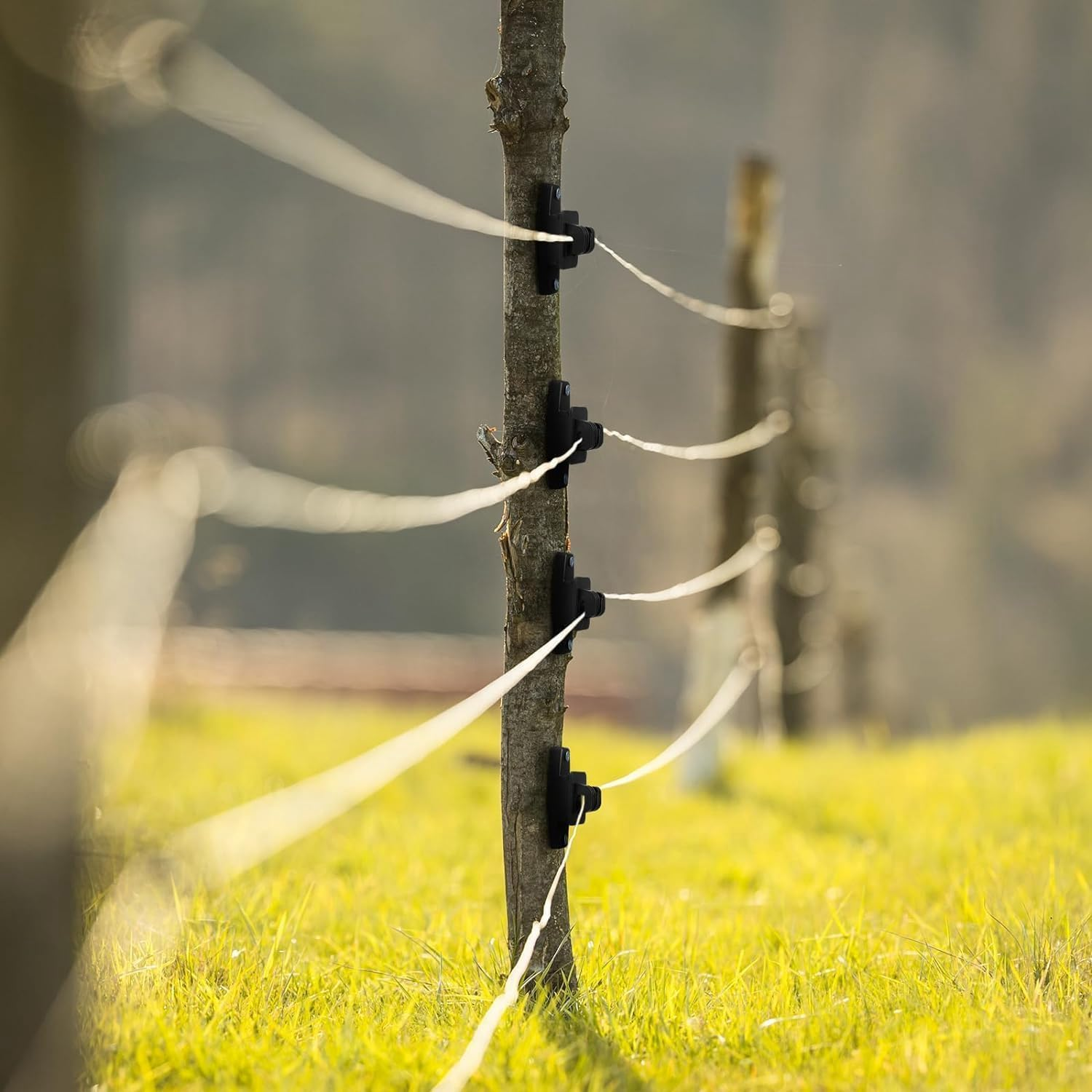 WADY Electric Fence Wooden Post Claw Insulator, Nail on Insulator for High Voltage Pasture Fence, Electric Wire Fence Insulators Electric, Easy Install, Easy to Use (20PCS) image number 6