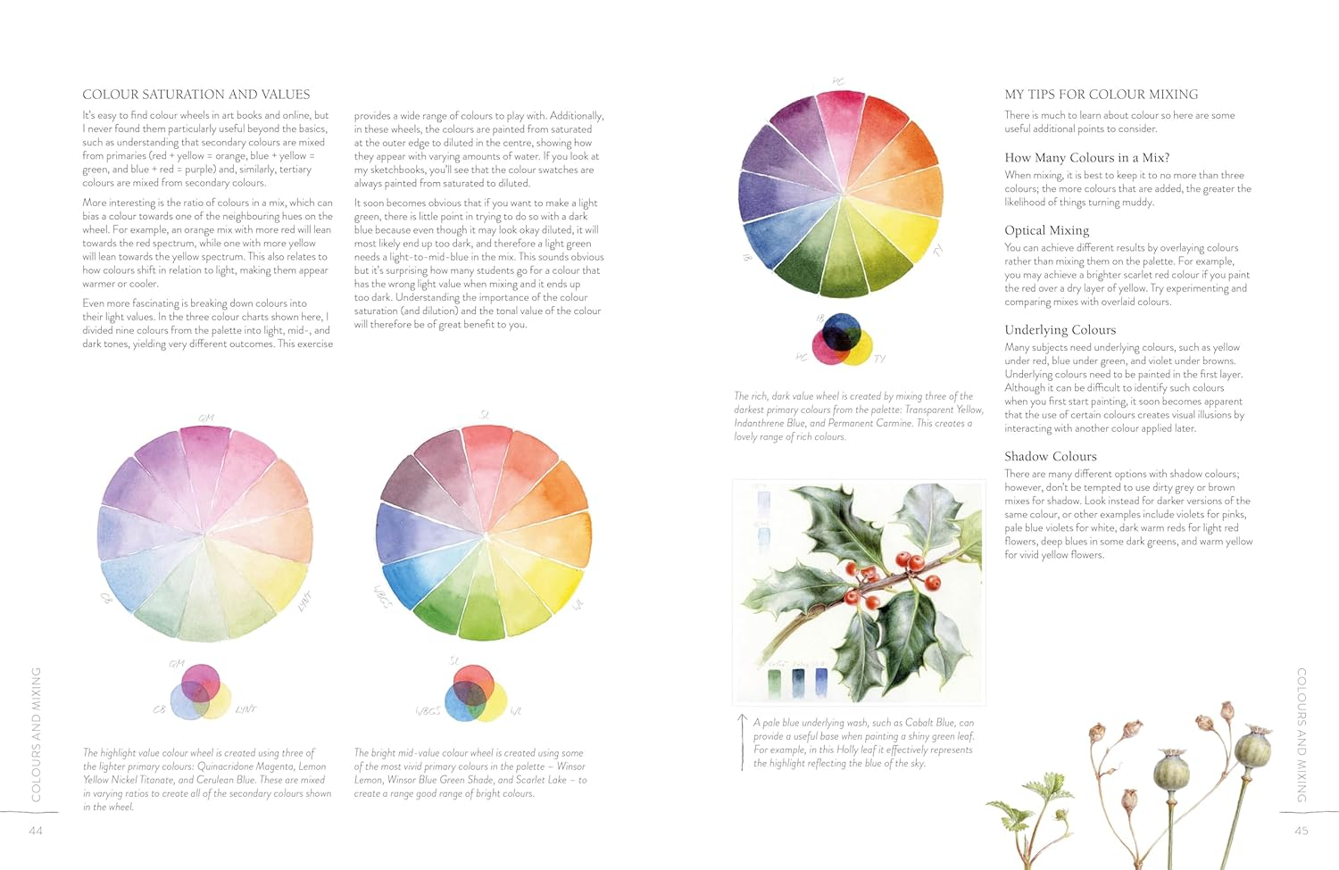 Sketching Nature: the Beginner'S Guide to Keeping a Botanical Sketchbook