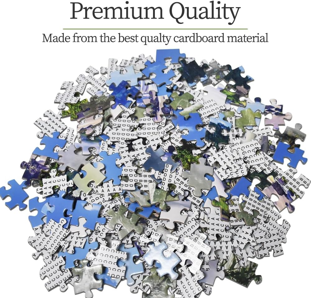 HUADADA Jigsaw Puzzles for Adults 1000 Pieces, Puzzles for Adults 1000 Piece, Challenging Game Toys, Impossible Puzzle, Family Decoration Puzzle - Iguazu Falls