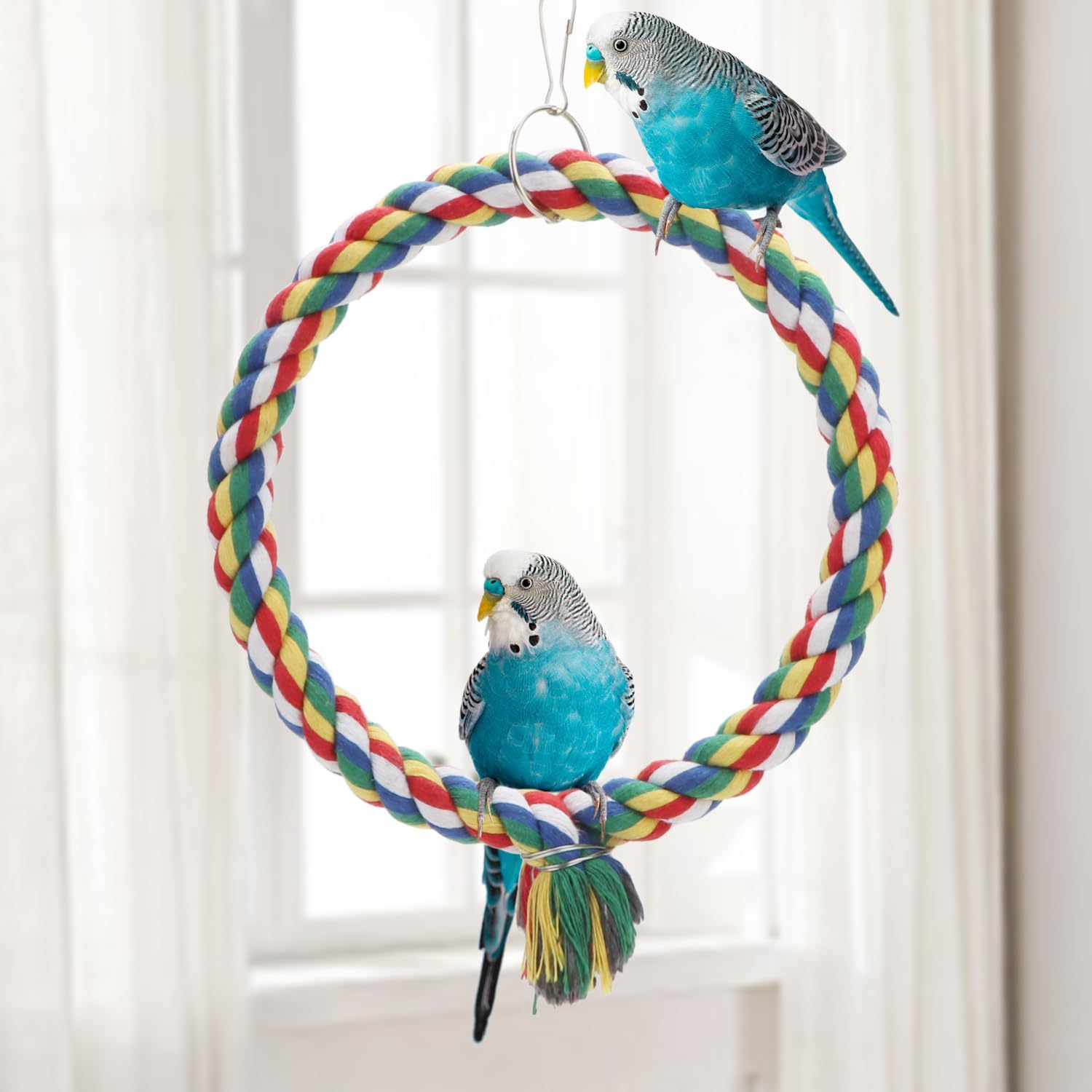 Bird Rope Swing Colorful Perch Climbing Toy for Parrots Budgie Parakeet Cockatiel Cockatoo Conure (S (7.5 Inch) image number 5