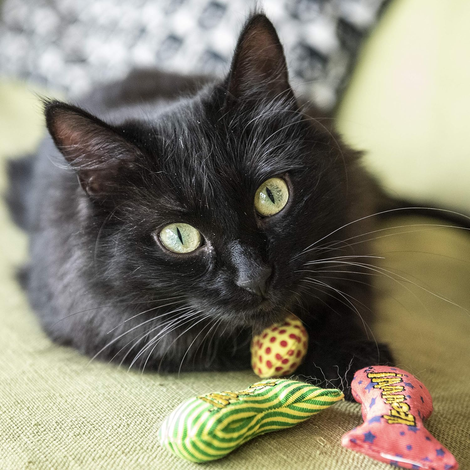 YEOWWW Catnip Cat Toys Banana and Sardine Stinkies Fish Strong Catnip Cat Toys Premium Quality Cat Toy Bundle for Indoor and Outdoor Cats (1 X Banana 3 X Stinkies) image number 3