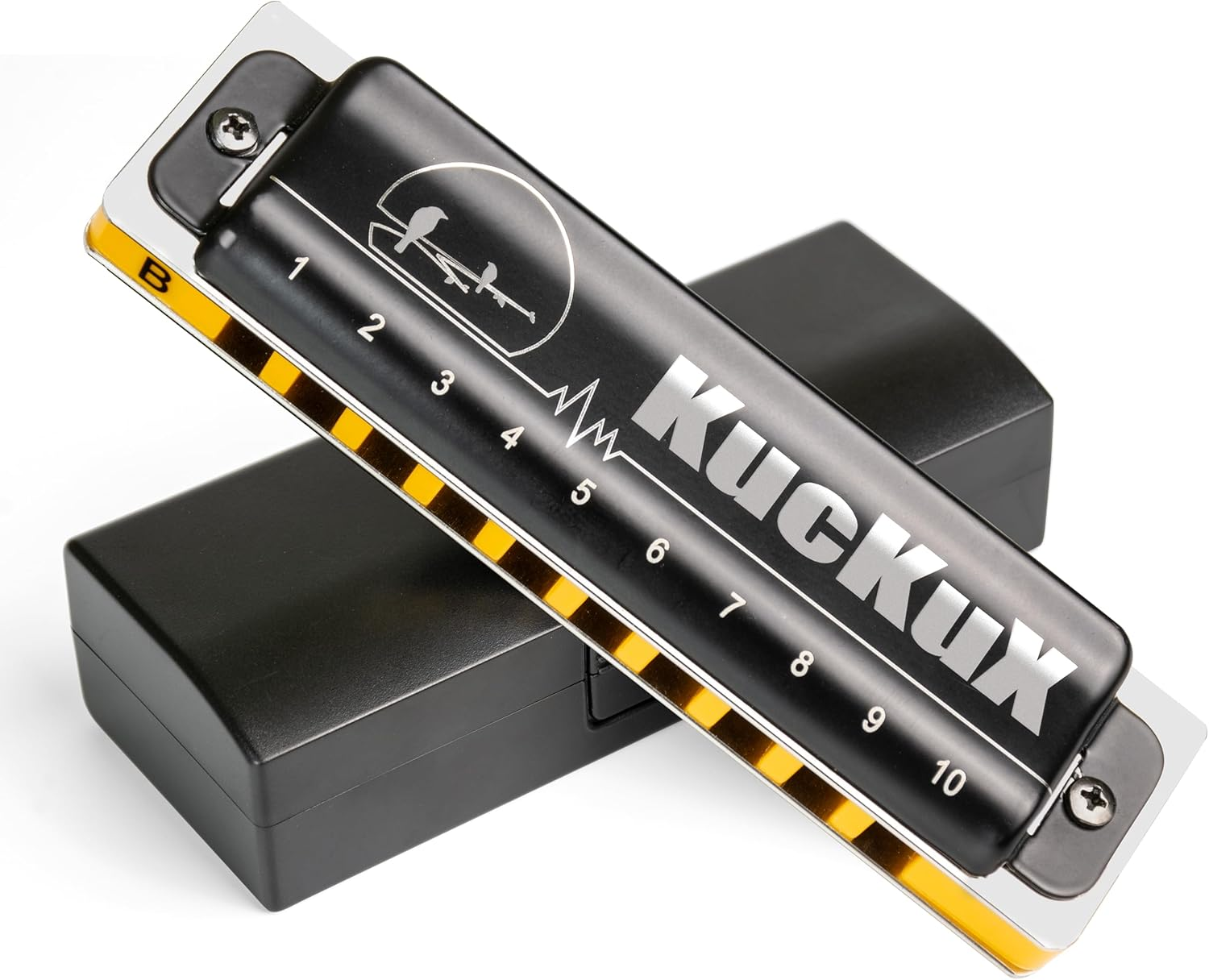 Diatonic Harmonica of a Flat Key,Blues Mouth Organ 10 Hole 20 Tones, Reed of Phosphor Bronze, ABS Combo, Easy-Clean Cover,10 Hole Blues Harp for Adult, Beginner