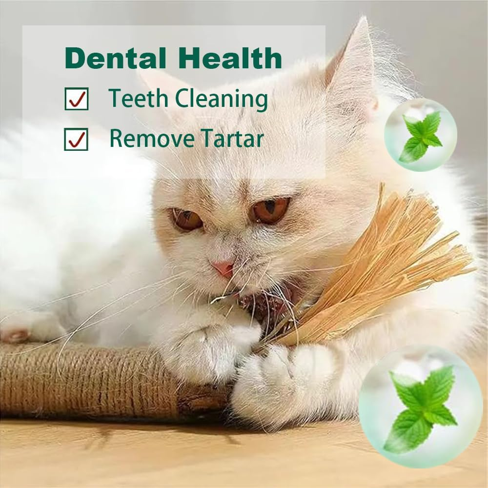 Huge Silvervine Sticks Cat Toys, Large Natural Catnip Kittens Chew Toy for Teeth Cleaning,Big Catmint Blend Stick, Dental Kitty Chews for Indoor