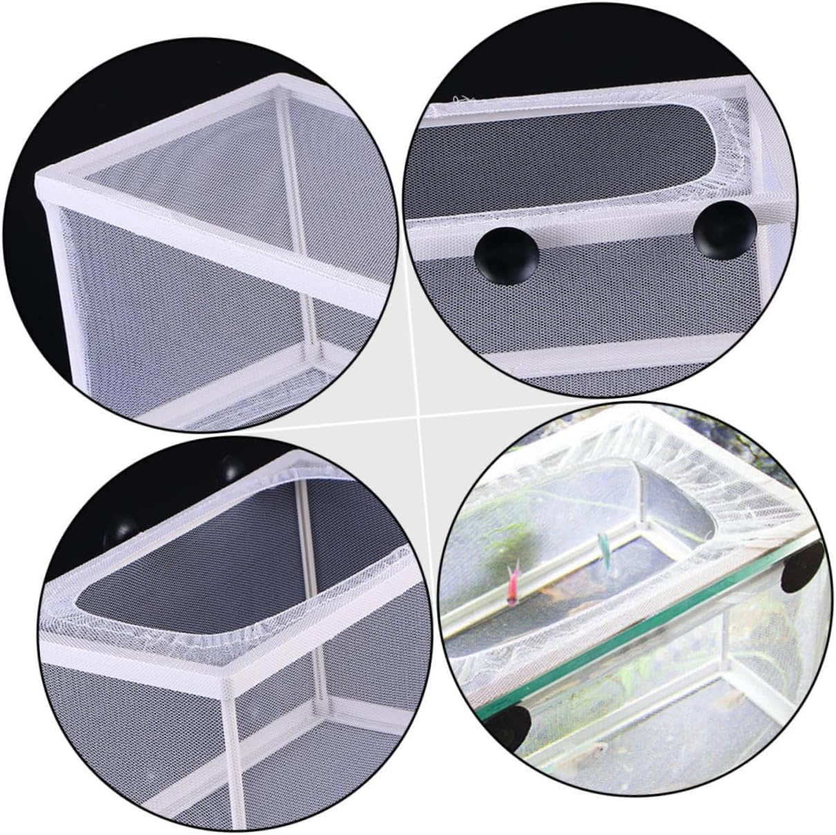 Gadpiparty 3Pcs Small Fish Hatch Isolation Boxes Mesh Fish Breeding Tank Aquarium Separation Net Suction Cup for Fry Hatchery Juvenile Separation