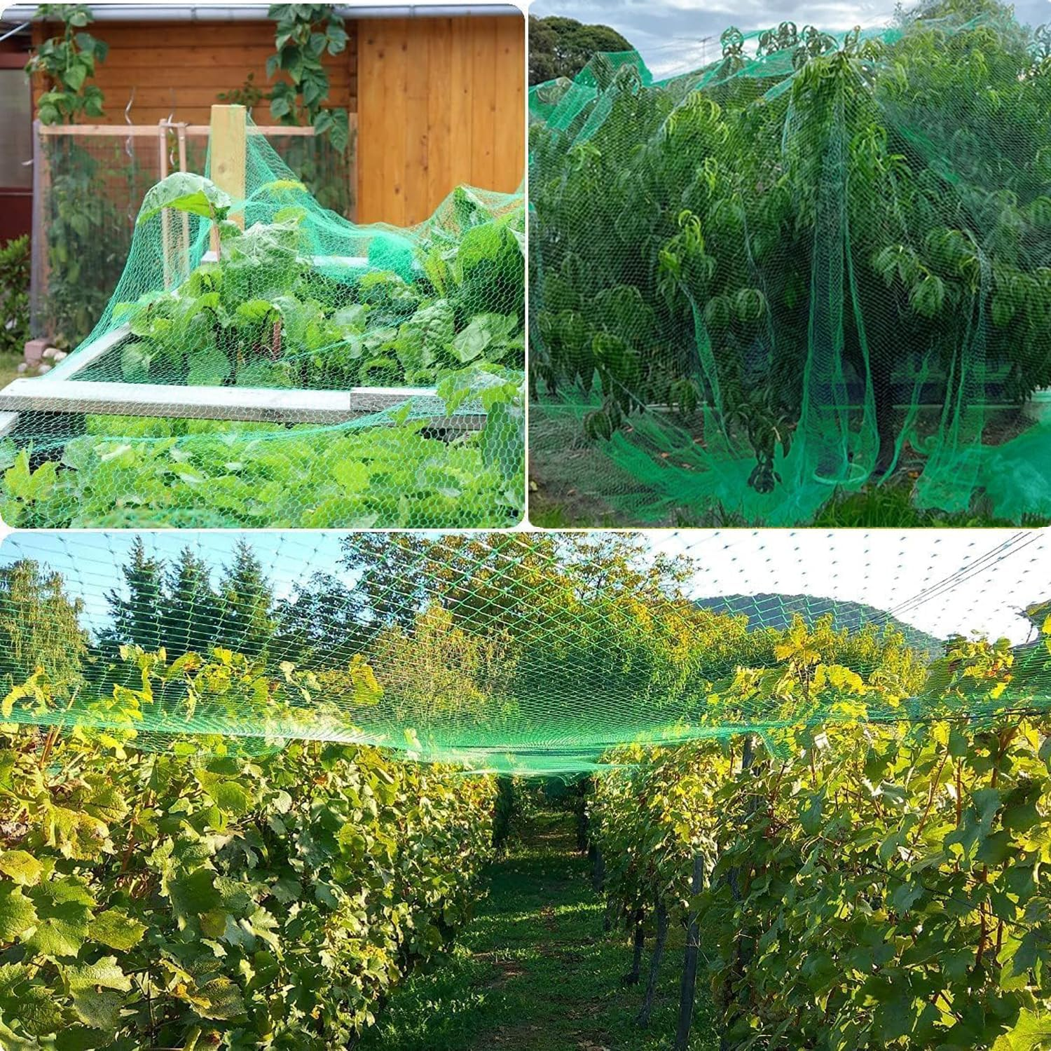 Garden Anti-Bird Net Strap 50 Nylon Cable Ties 6X10M（20X33 Feet ）,Plant Cover Net, Anti-Bird Net, Poultry Net, for Protecting Vegetables, Fruits and Plants (20&times;33 Ft) image number 6