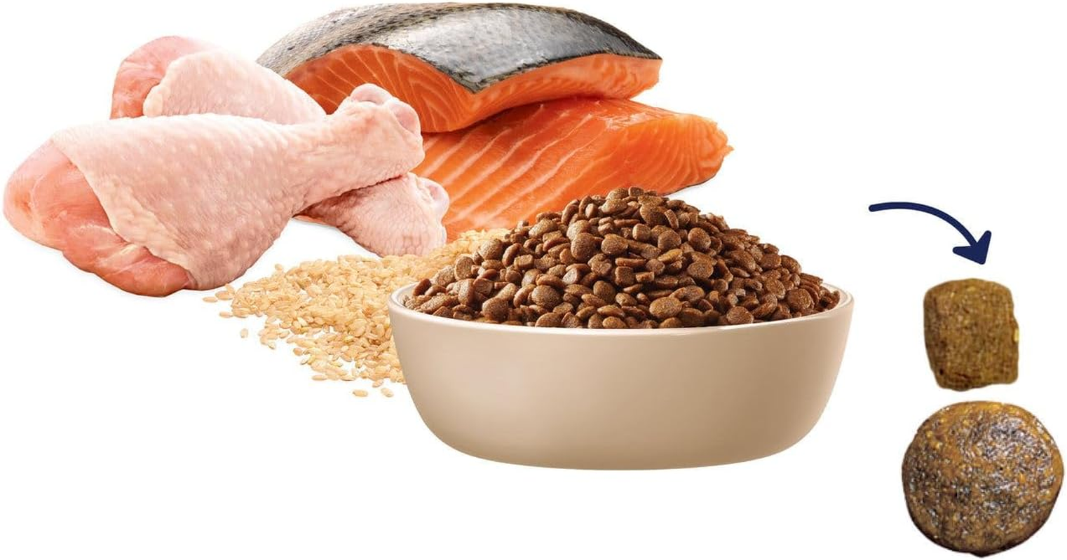 ADVANCE CAT CHICKEN and SALMON 500G (436384) image number 1
