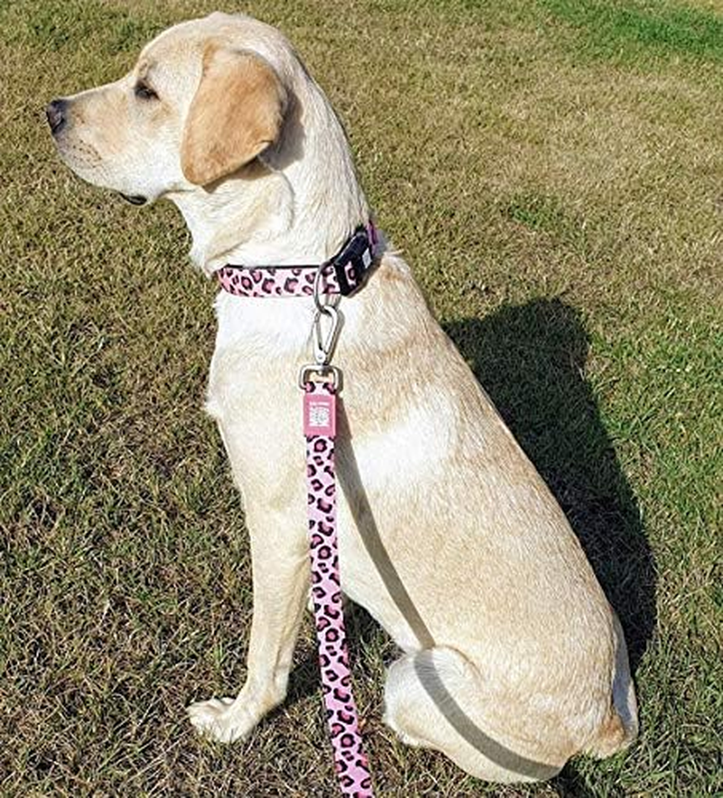 Leopard Pink Smart Id Collar |Comfortable | Odor Free Neoprene | Smart Id Tag | Lost Pet Protection Program | Extraordinary Dog Collar, M image number 2