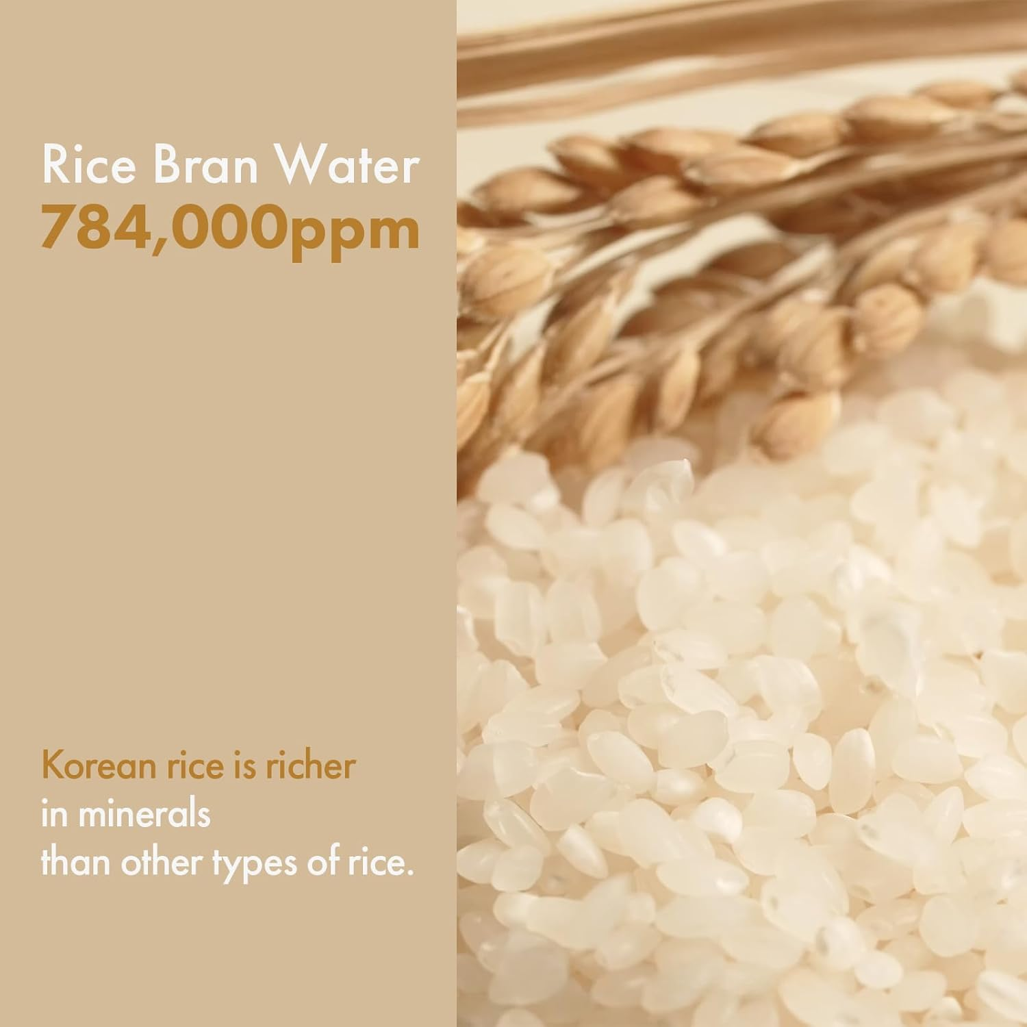 TOSOWOONG Rice Glow Milky Toner with 784,000Ppm Korean Rice Water, Niacinamide, Ceramides, Panthenol, Glow, Glass Skin, Hydrating, Purifying, Fragrance-Free, Korean Skin Care, 250Ml, 8.45 Fl.Oz. image number 3