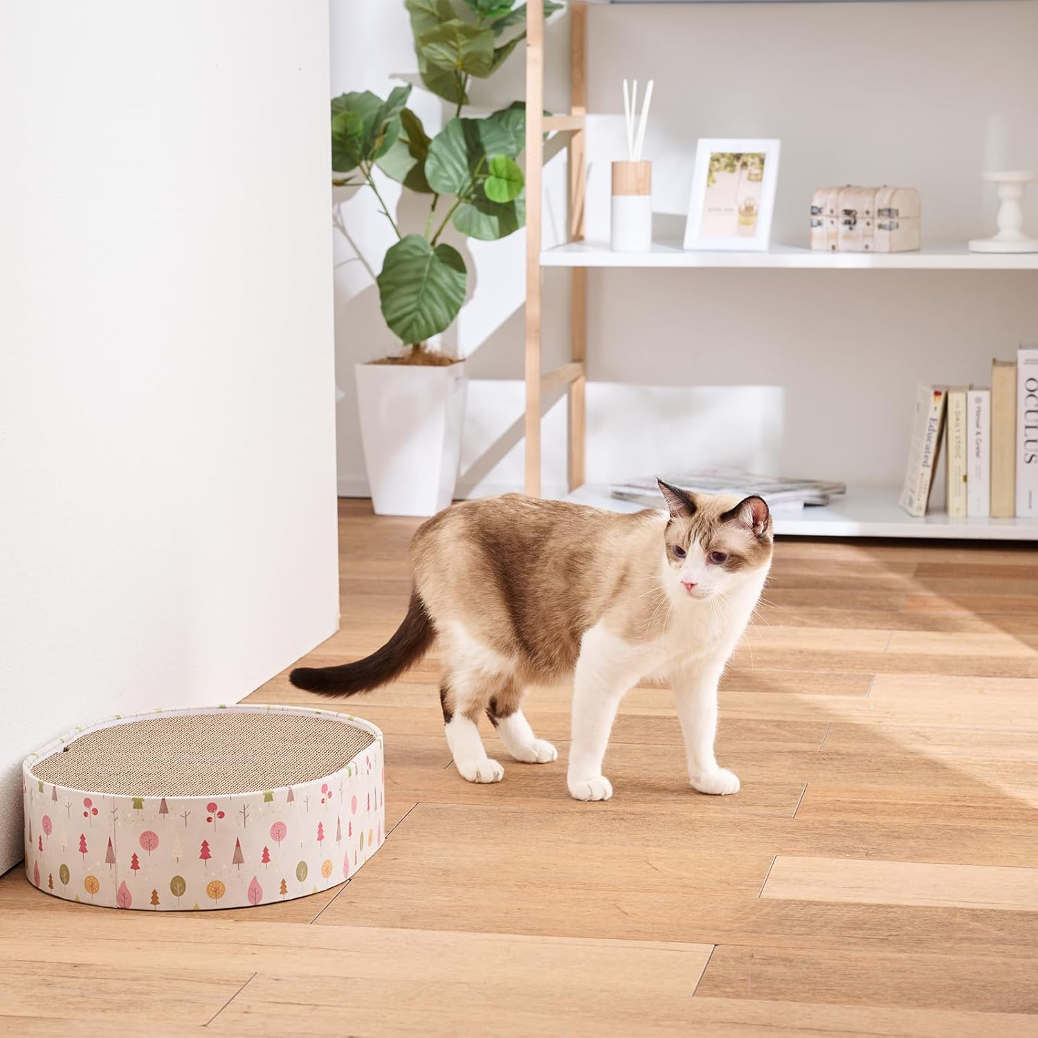 Cat Tree Cat Cat Forest image number 4