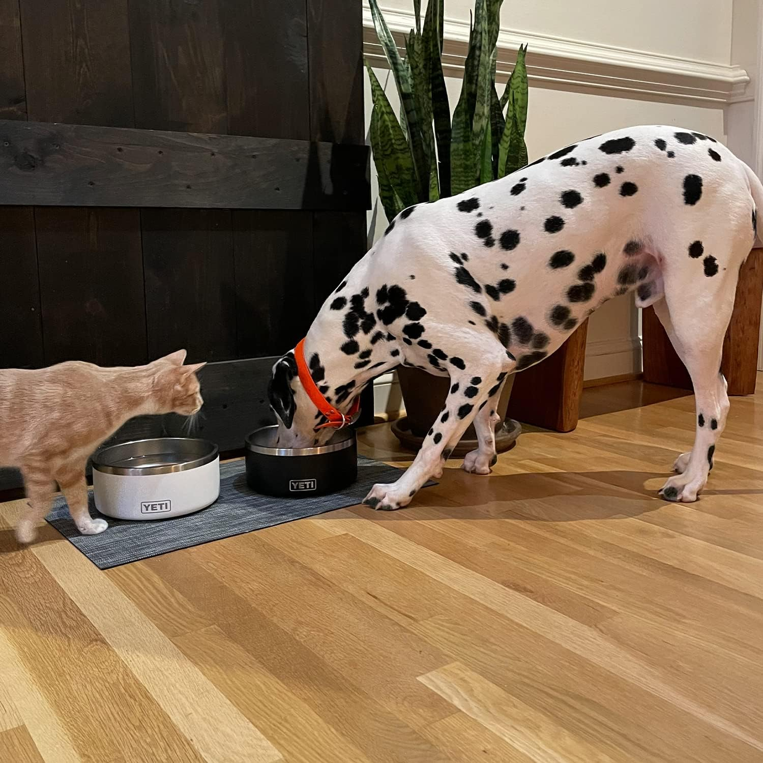 YETI Boomer 8, Stainless Steel, Non-Slip Dog Bowl, Holds 64 Ounces, White - Charcoal image number 3