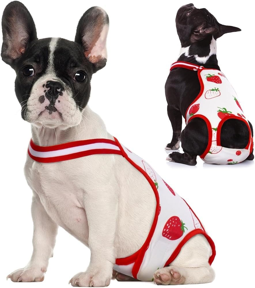 Dog Diapers Female Washable Sanitary Pantie with Adjustable Suspender, Reusable Doggie Period Panties, Pet Underwear Diaper Jumpsuits for Male Dogs in Heat, Puppy Diapers (Red Strawberry, Large) image number 3