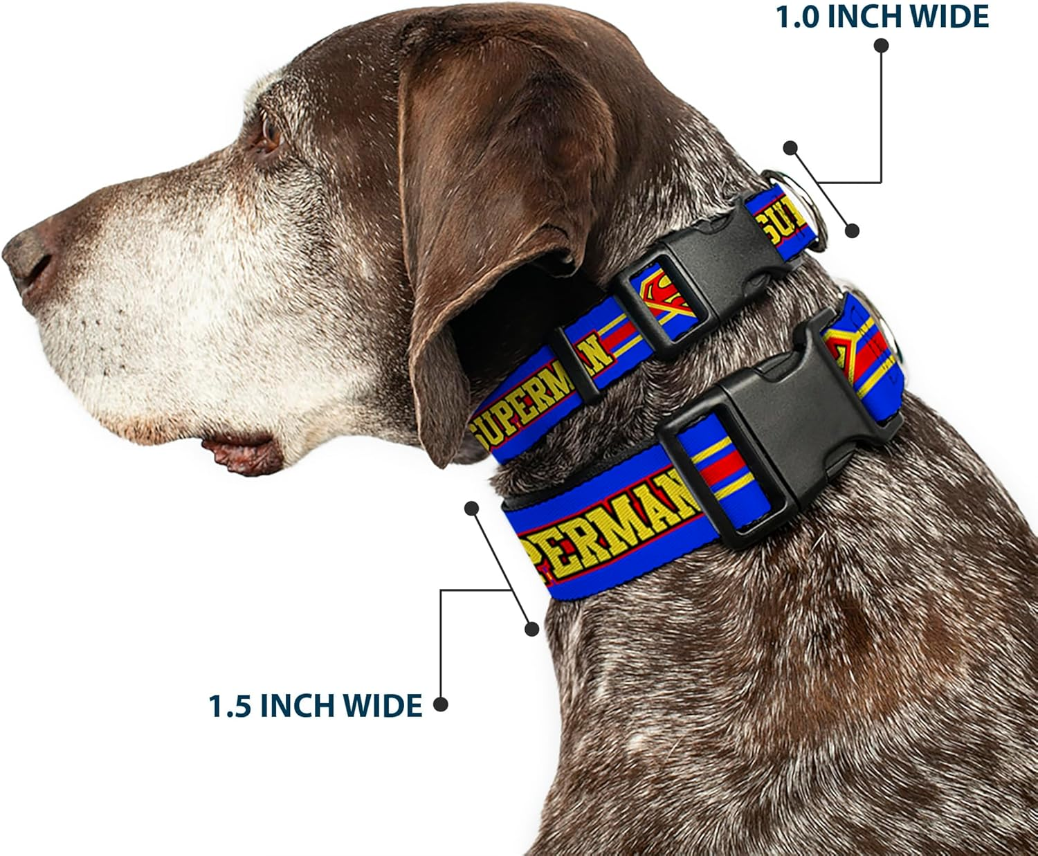 Buckle-Down Plastic Clip Dog Collar, Superman with Shield Stripe Blue/Yellow/Red, 15 to 26 Neck Size X 1.0 Inch Width image number 6