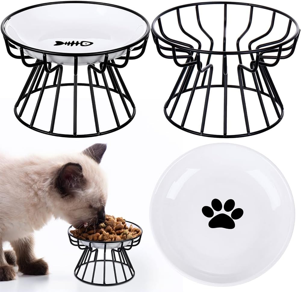 LMSNE Raised Cat Bowls,Whisker Friendly anti Vomit Cat Bowl Ceramicwith Metal Stand, Elevated Food Feeding Dishes for Cats and Dog