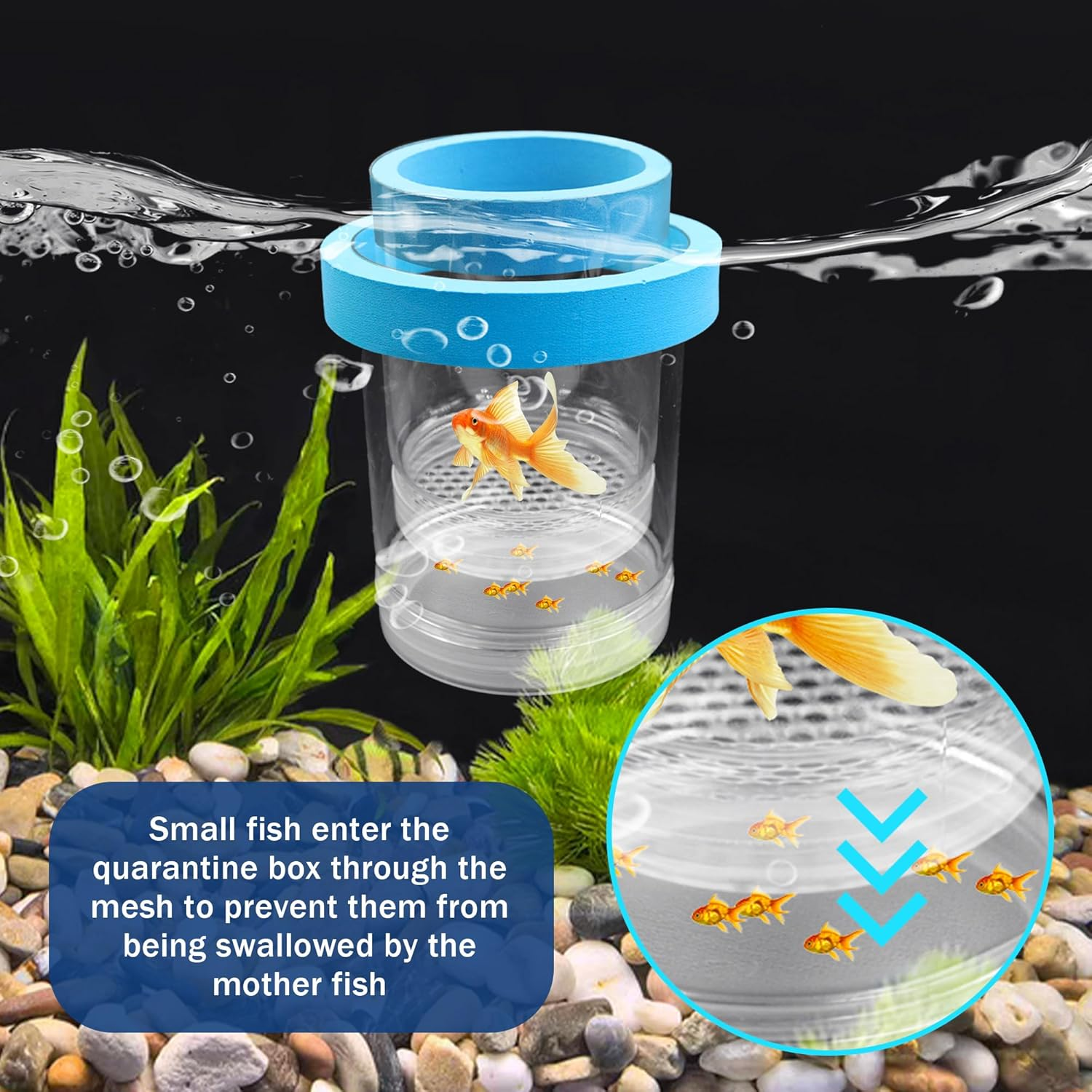 Small Floating Fish Breeding Box, Plastic Breeding Box for Fish Tank with Suction Cup, Clear Aquarium Divider Incubator, Adjustable Isolation Hatchery for Shrimp Guppy (Small) image number 4