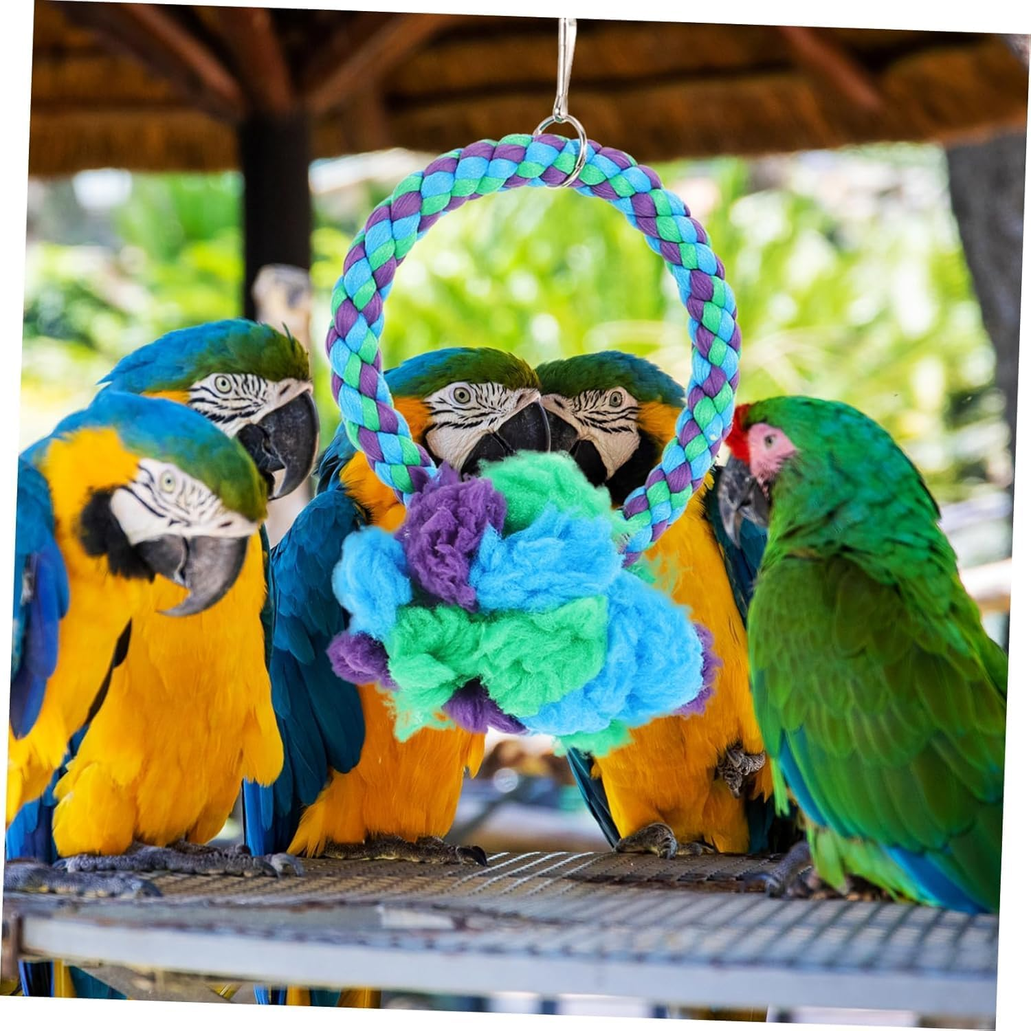 Large Parrot Swing Ring, Feeders, Perch, Nest Bell, Bird Bath and Cotton Rope for Cage Birds image number 4