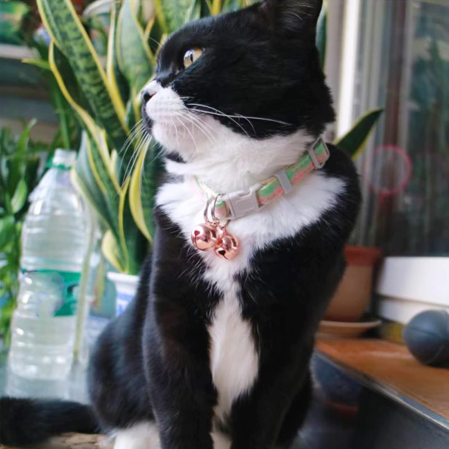 SJANE 4 Pack Cat & Dog Copper Bells - Pet Tracker Training | Pet Collar Accessories | save Birds & Wildlife image number 2