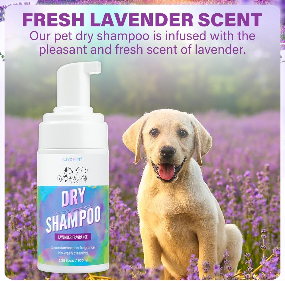 Waterless Pet Dry Shampoo with Lavender Fragrance, No-Rinse Foam Cleanser for Dogs and Cats, 100Ml image number 2