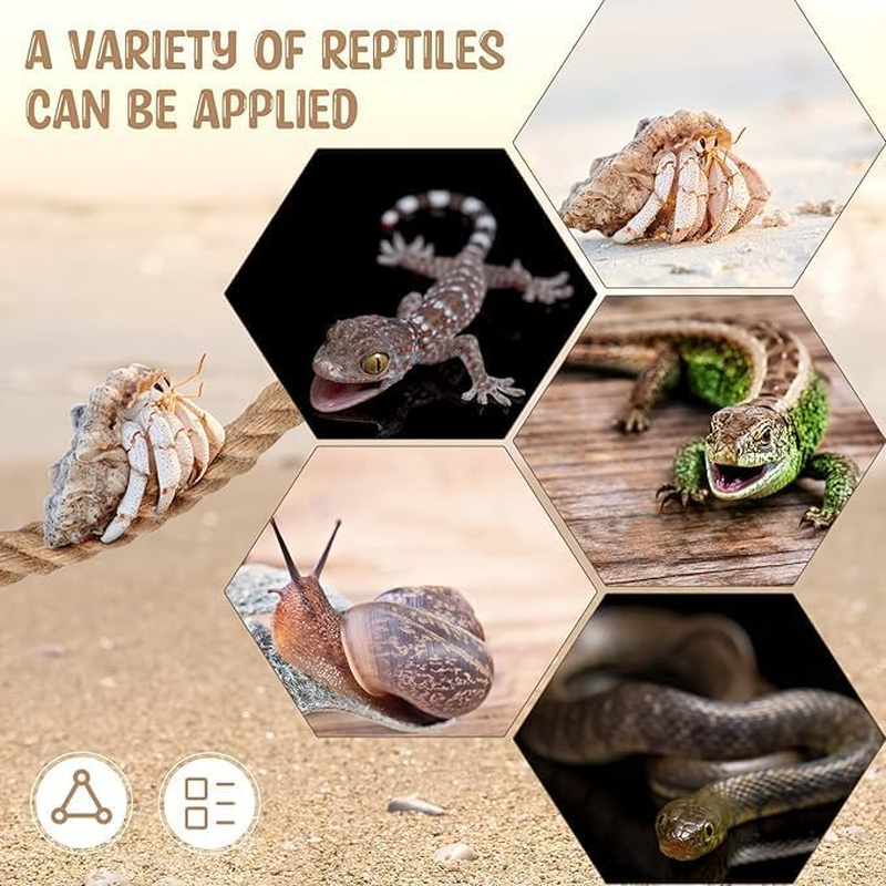 1Pcs Hermit Crab Climbing Jute Rope Ladder with Hooks - 21.6" Reptile Tank Terrarium Accessories for Lizards, Geckos, Snakes - Durable Habitat Decor image number 4