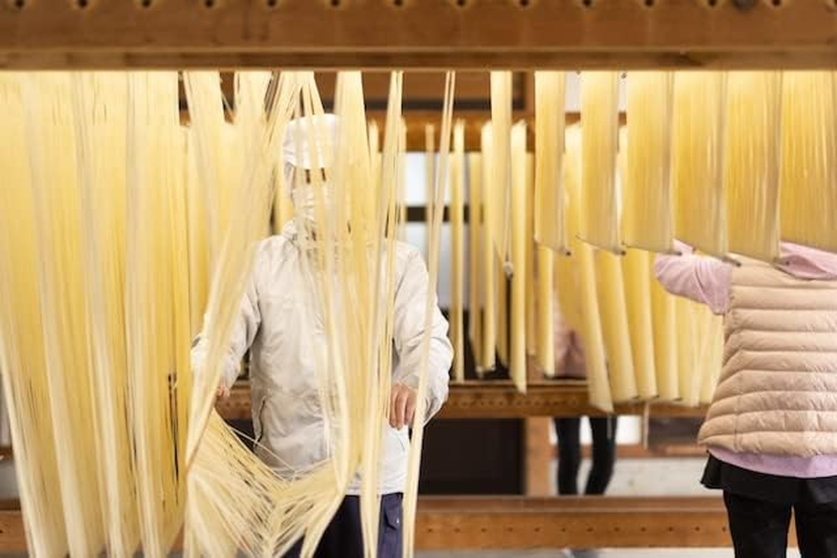 Okado Somen - Japanese Wheat Flour Noodle - from JAPAN, Toyama Pref. image number 6