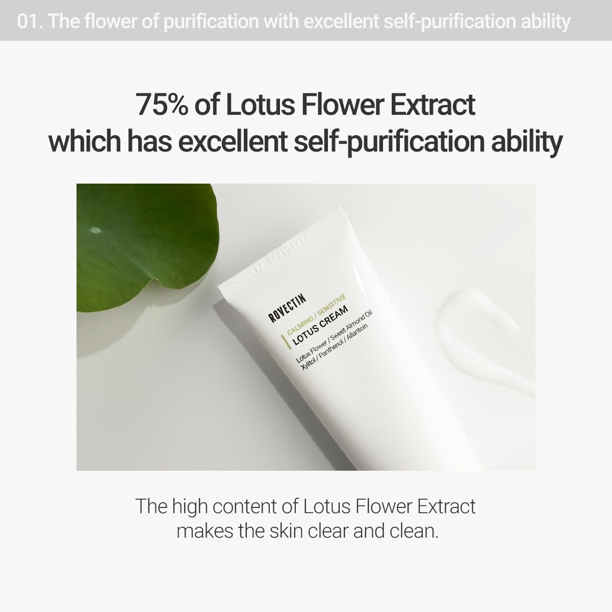 Rovectin Clean Lotus Water Cream