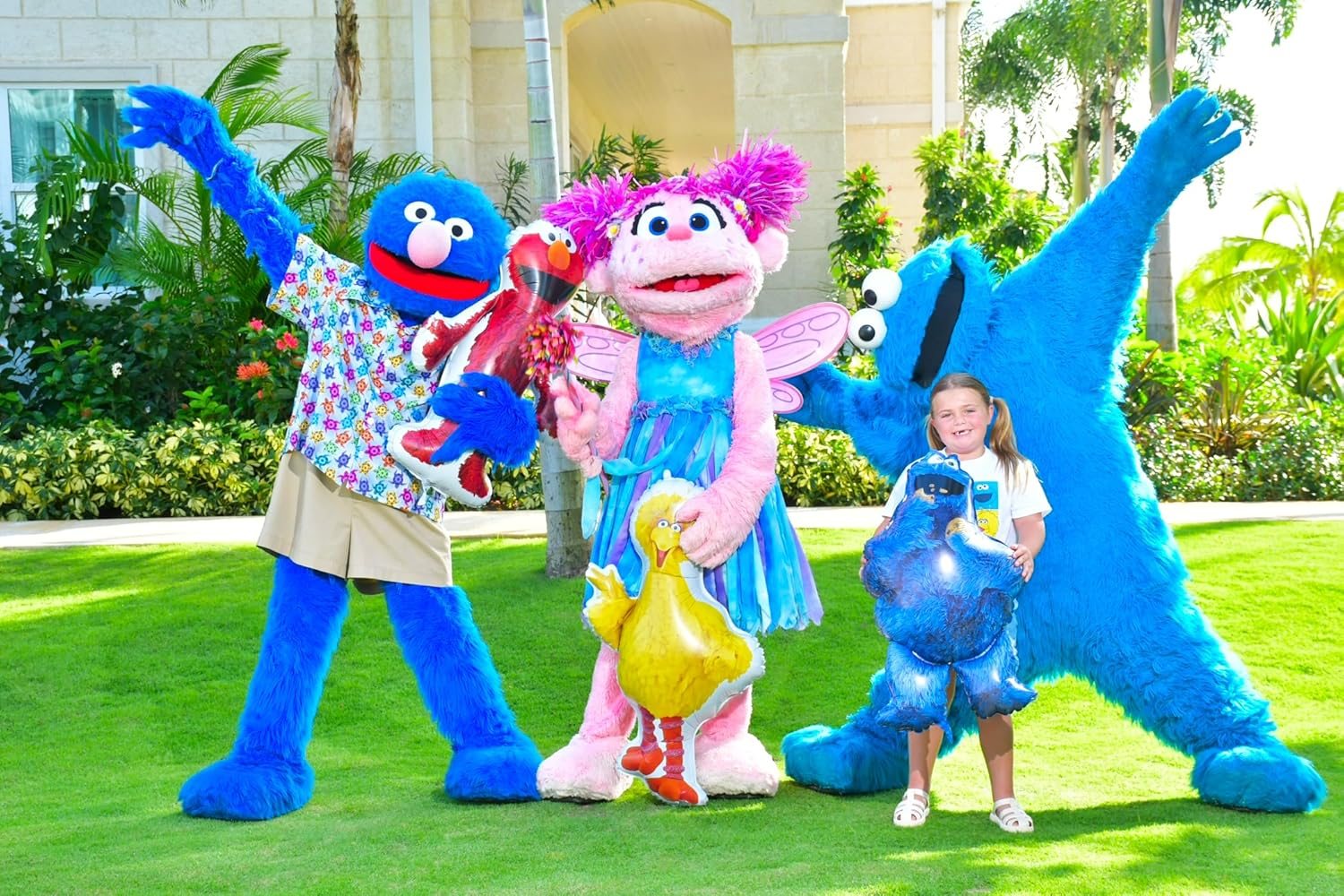 Toyland&reg; Sesame Street Foil Balloon 3 Pack - 1 X 39" Big Bird, 1 X 37" Elmo & 1 X 35" Cookie Monster Characters - Kids Party Decorations image number 4