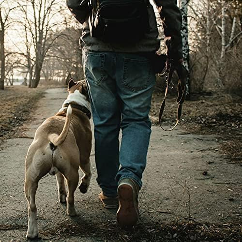 215 * 2.5Cm Multifunctional Dog Leash for Dogs,Adjustable Dog Leash,Double Ended Lead, Adjustable to 4 Different Lengths,For Two Dogs Walking (Black, 215 * 2.5Cm) image number 3