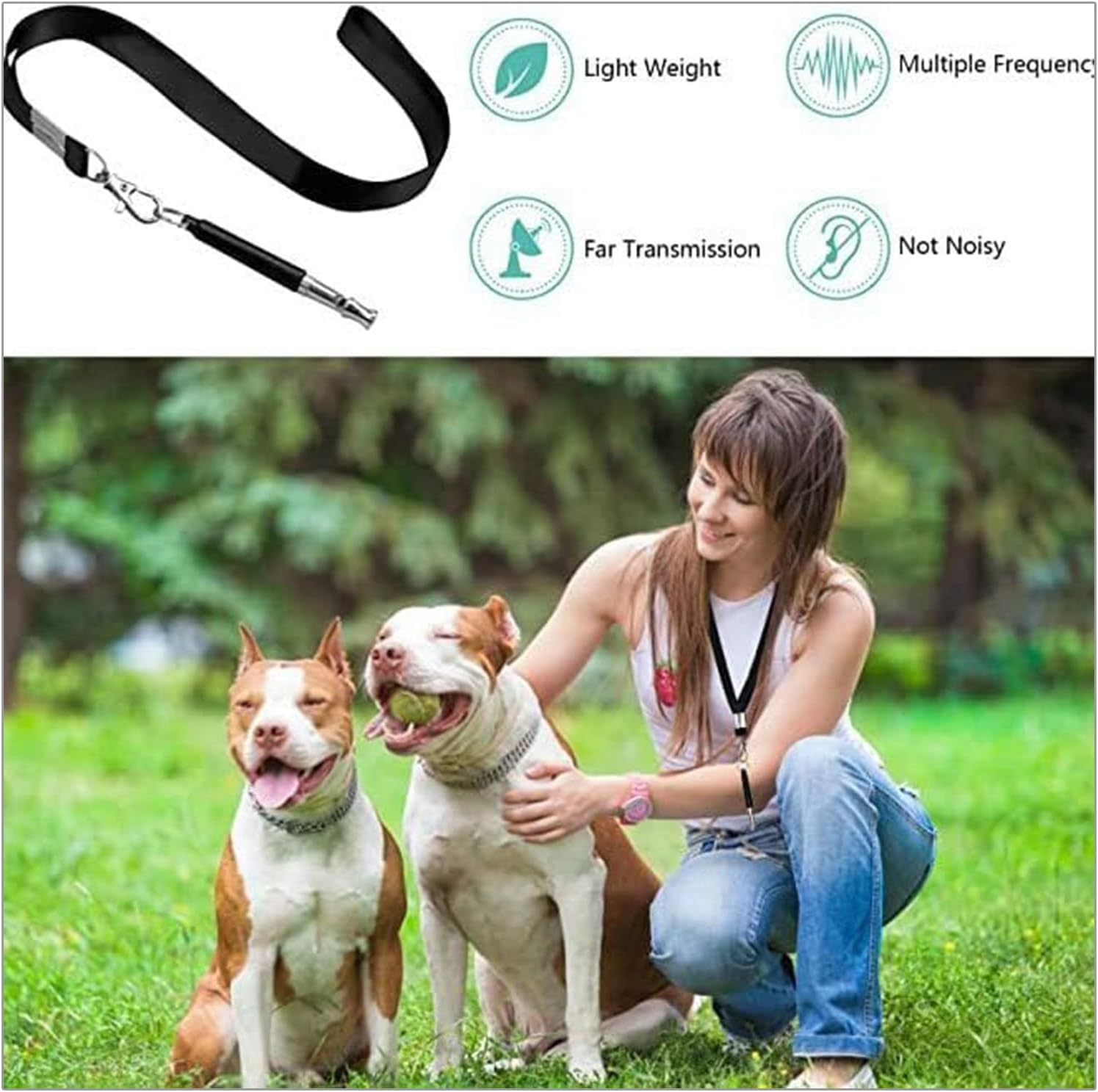 Yharnamite 2 Pcs Dog Whistles Ultrasonic Professional Training Whistles with Lanyard, Adjustable Ultrasonic Silent Dog Whistles, Recall Pet Training Whistles for Dog Training and Behavior Aid (A)